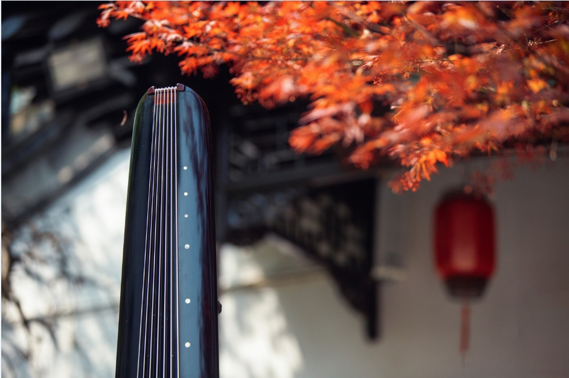 关于琴面与糟腹 由于琴的内部构造是由上,下底板合成的一个共鸣箱