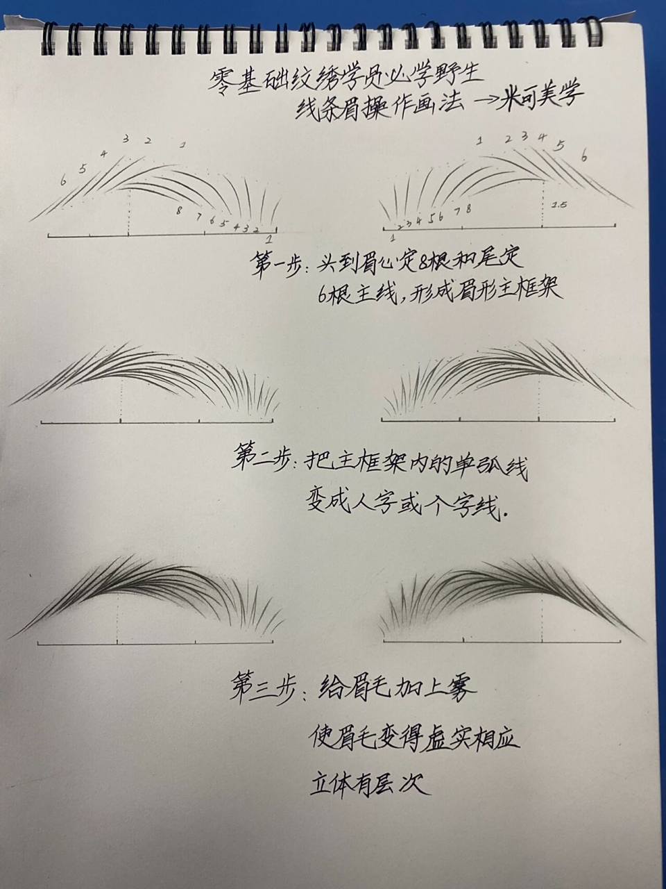 零基础纹绣学员必学野生线条眉操作画法 零基础纹绣学员必学野生线条