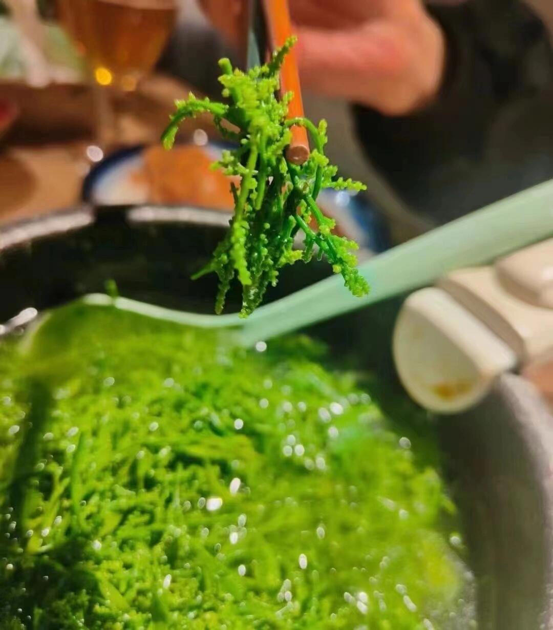 野菜中的天花板——雷公菜.