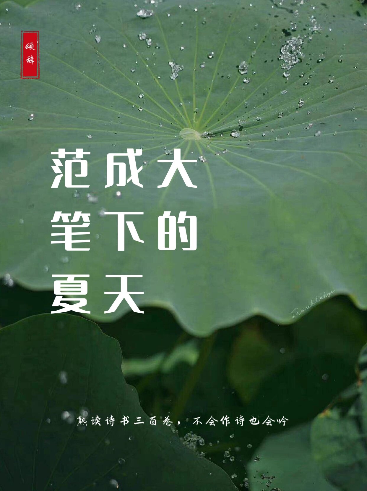 范成大《夏日田园杂兴十二绝》,悠悠农家夏日