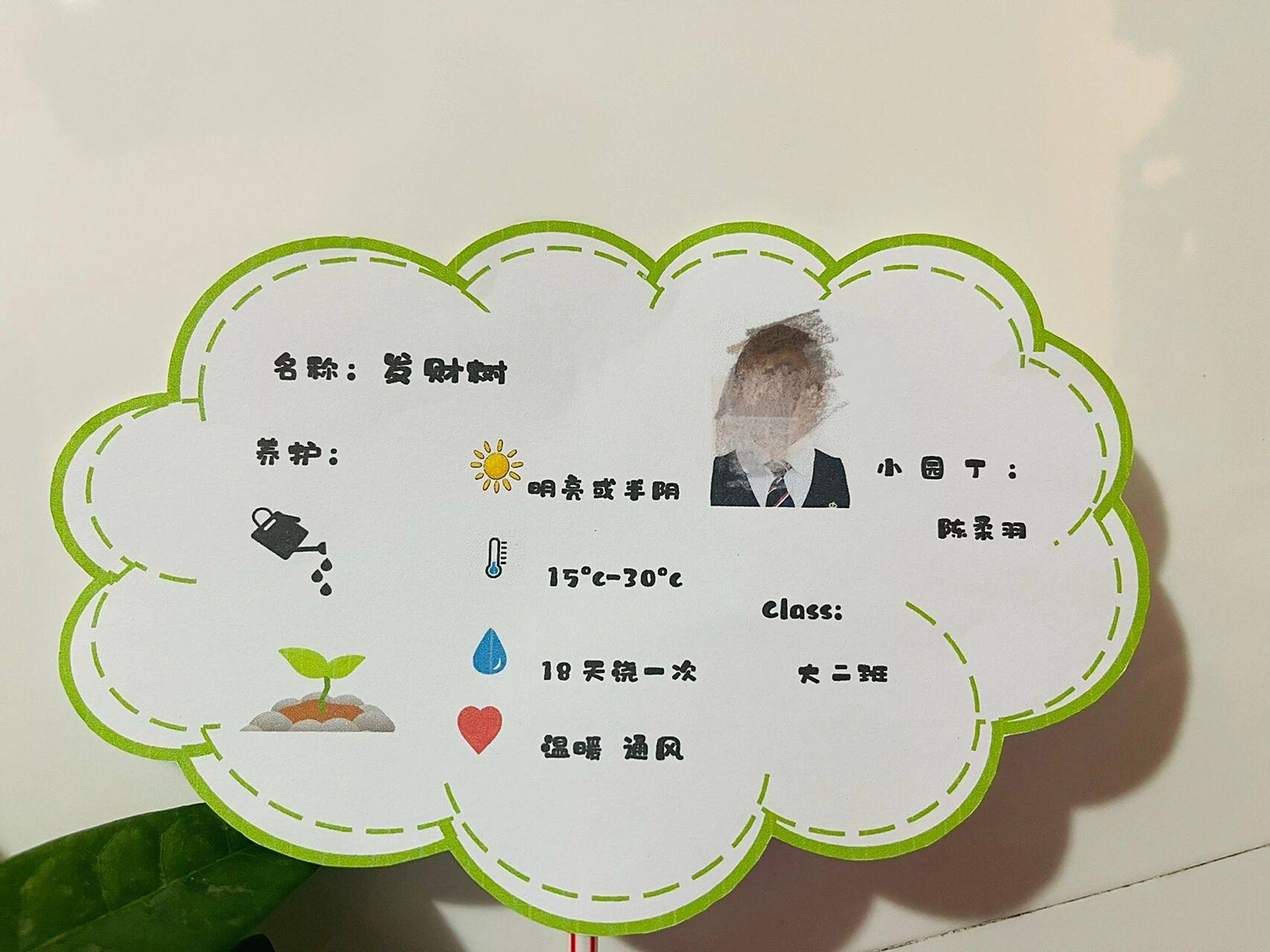 幼儿园植物标签    9799女儿幼儿园的周末作业,第一次尝试用ppt