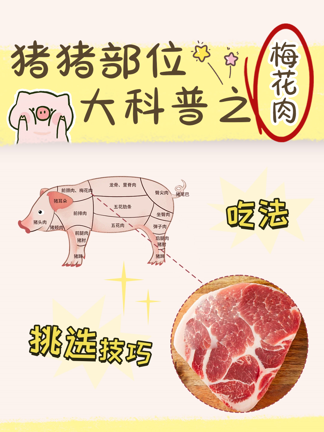 猪肉各个部位名称图解图片