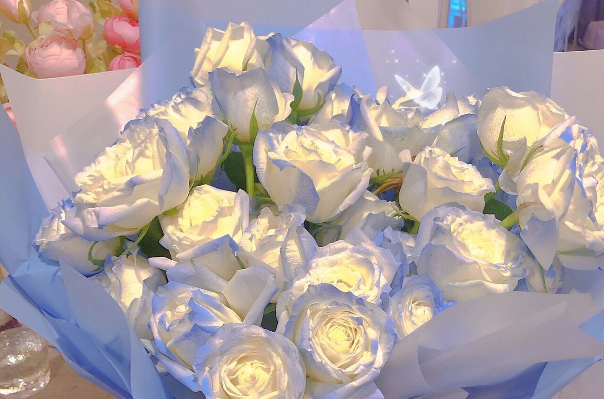 💙 情人节花束 厄瓜多尔蓝色系玫瑰 . 	 这个碎冰蓝很油画感 越看越