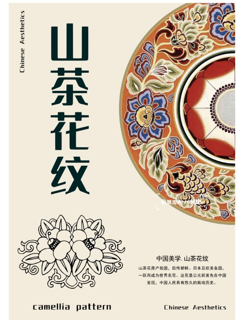 94山茶花大色艳,花型多样,有单瓣型,半重瓣型,重瓣型,宝珠型,曲瓣