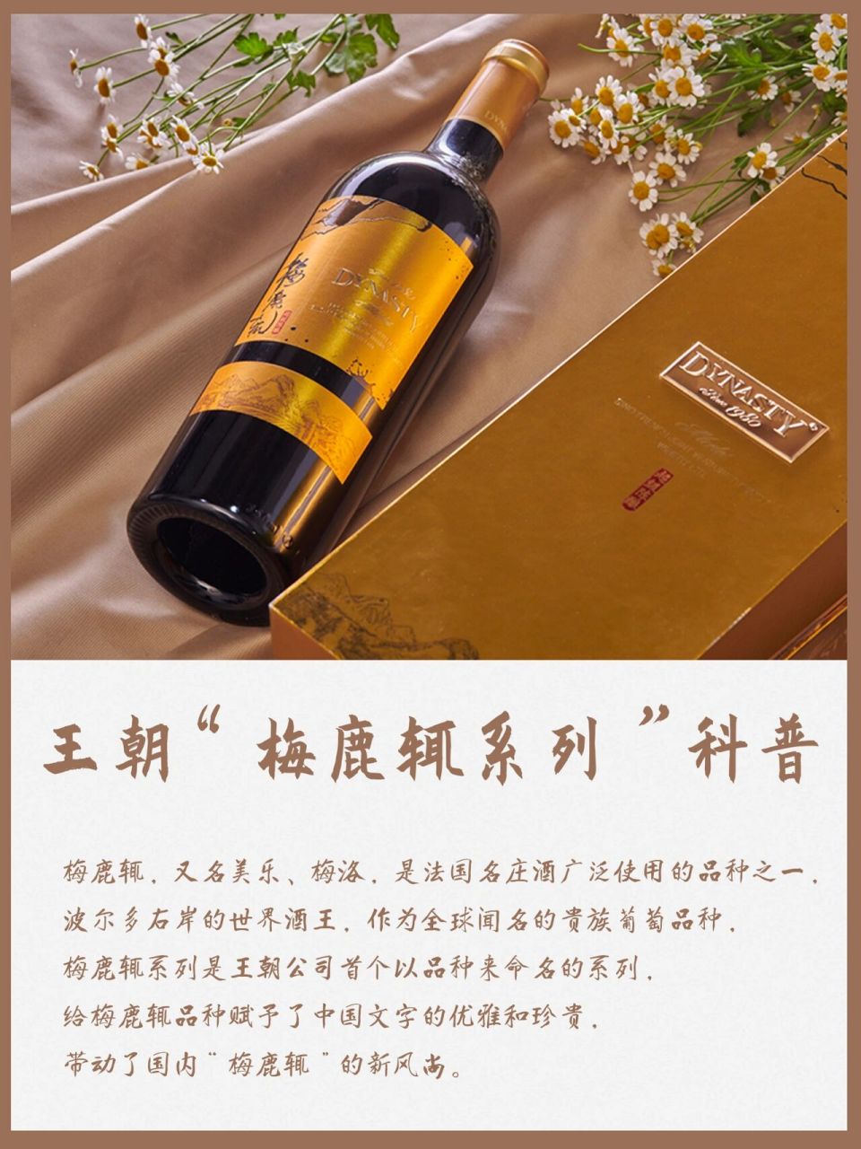 波尔多右岸的世界酒王,作为全球闻名的贵族葡萄品种,梅鹿辄系列是王朝