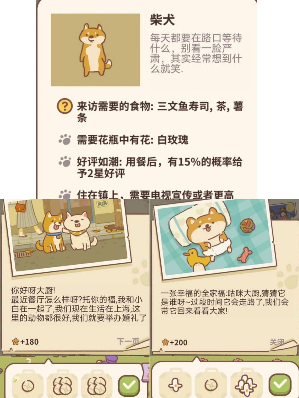 柴犬小宝的照片顺序图片