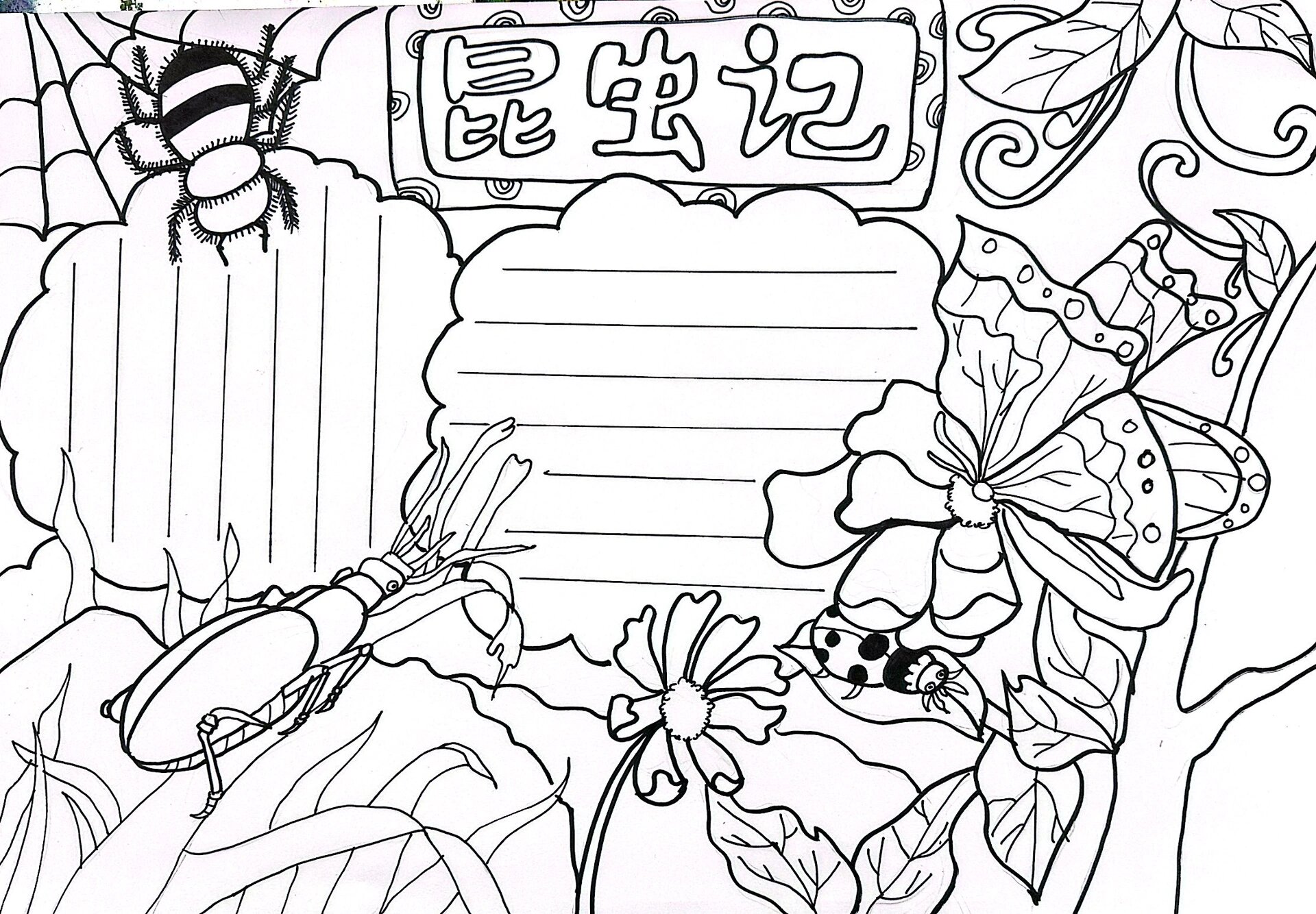 《昆虫记》手抄报手稿/可打印