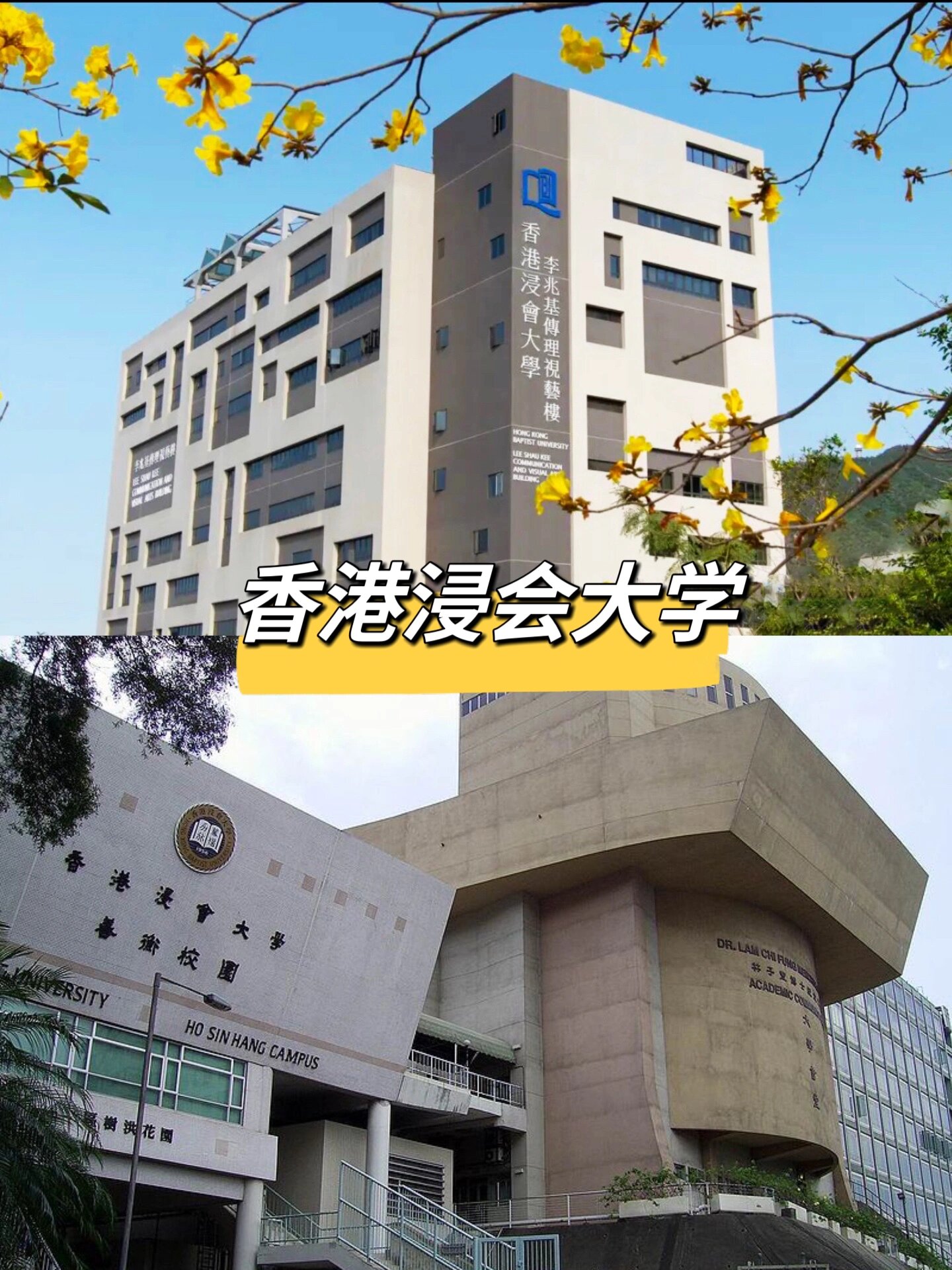 没脾气了01香港浸会大学,竟然那么好9815的6015