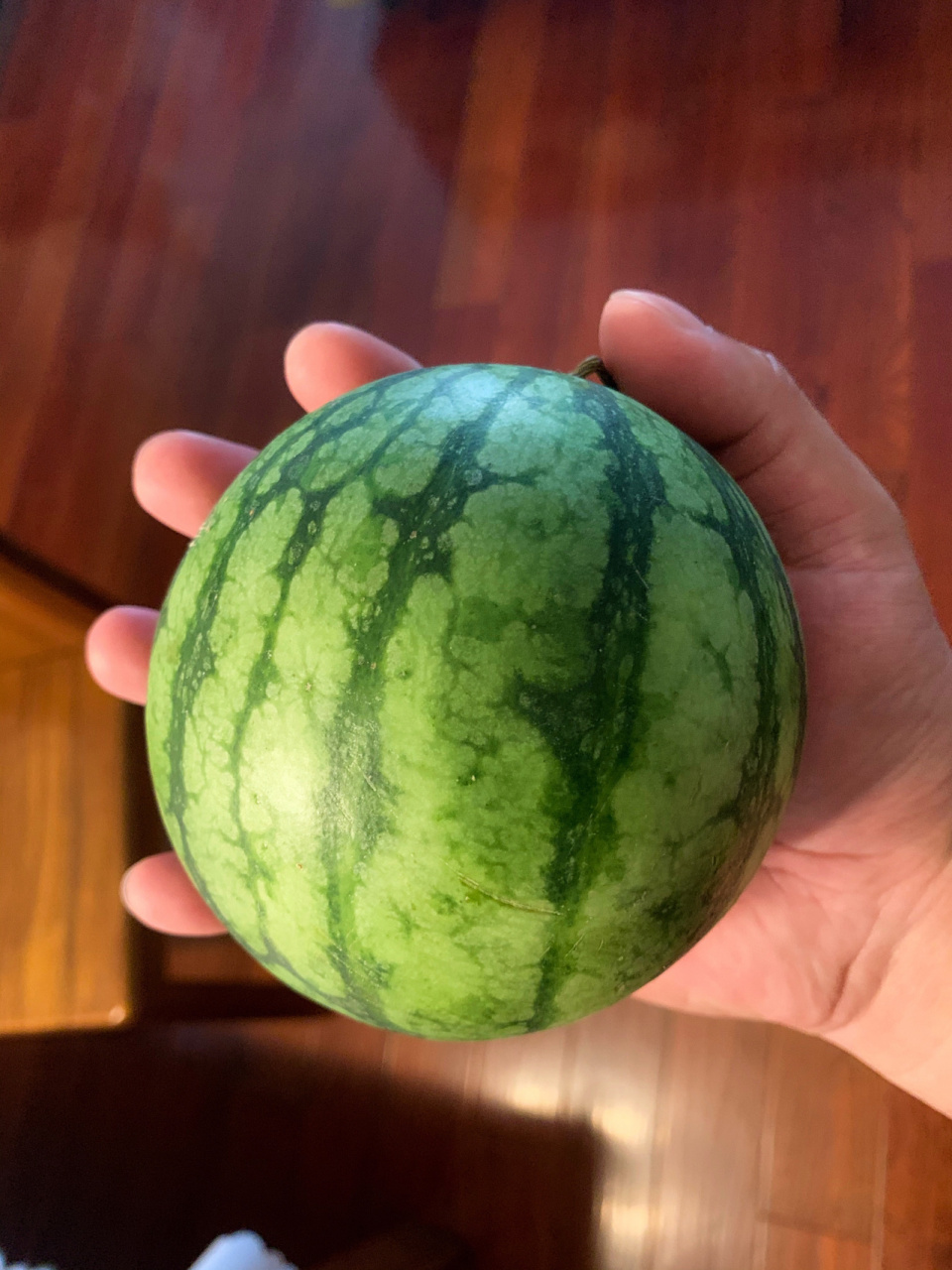 东台特小凤西瓜 非常好吃的特小西瓜,很适合一个人吃,不会像大西瓜