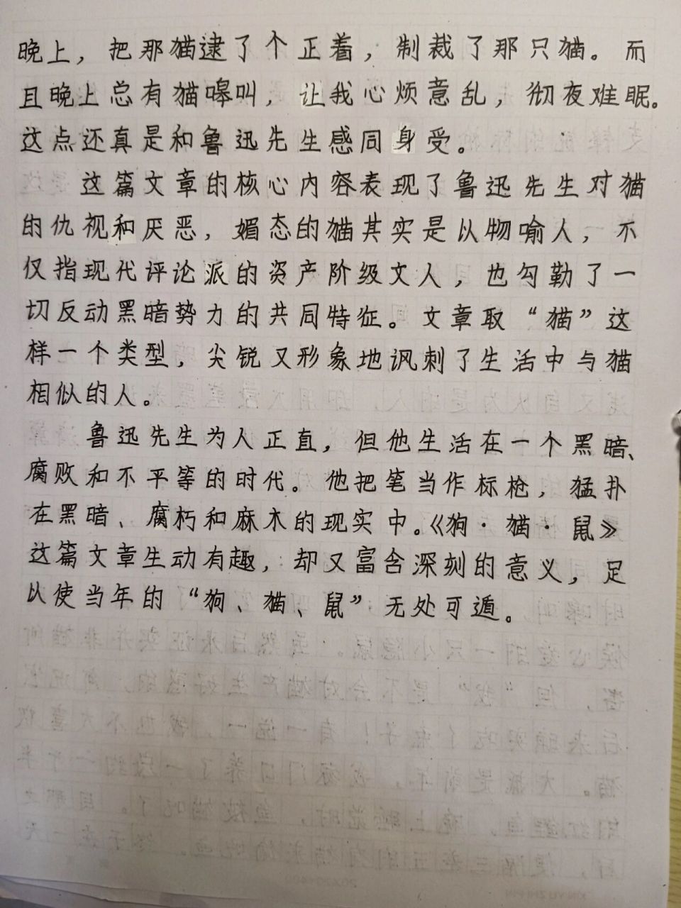 《狗·猫·鼠》读后感