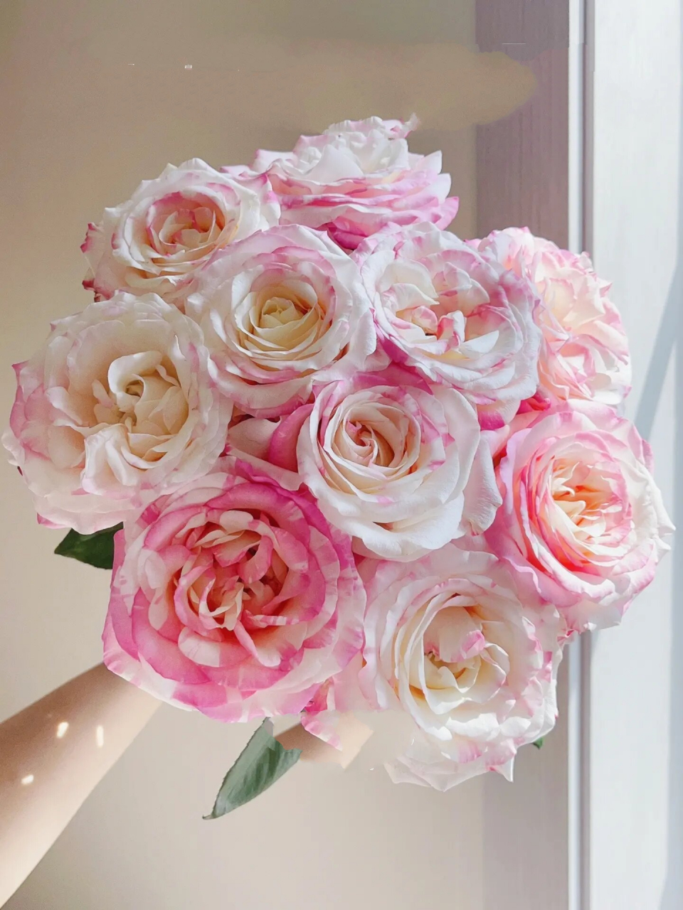 『玫瑰·霓裳』在春天92遇见最好的霓裳 wow春天的霓裳就是玫瑰花中