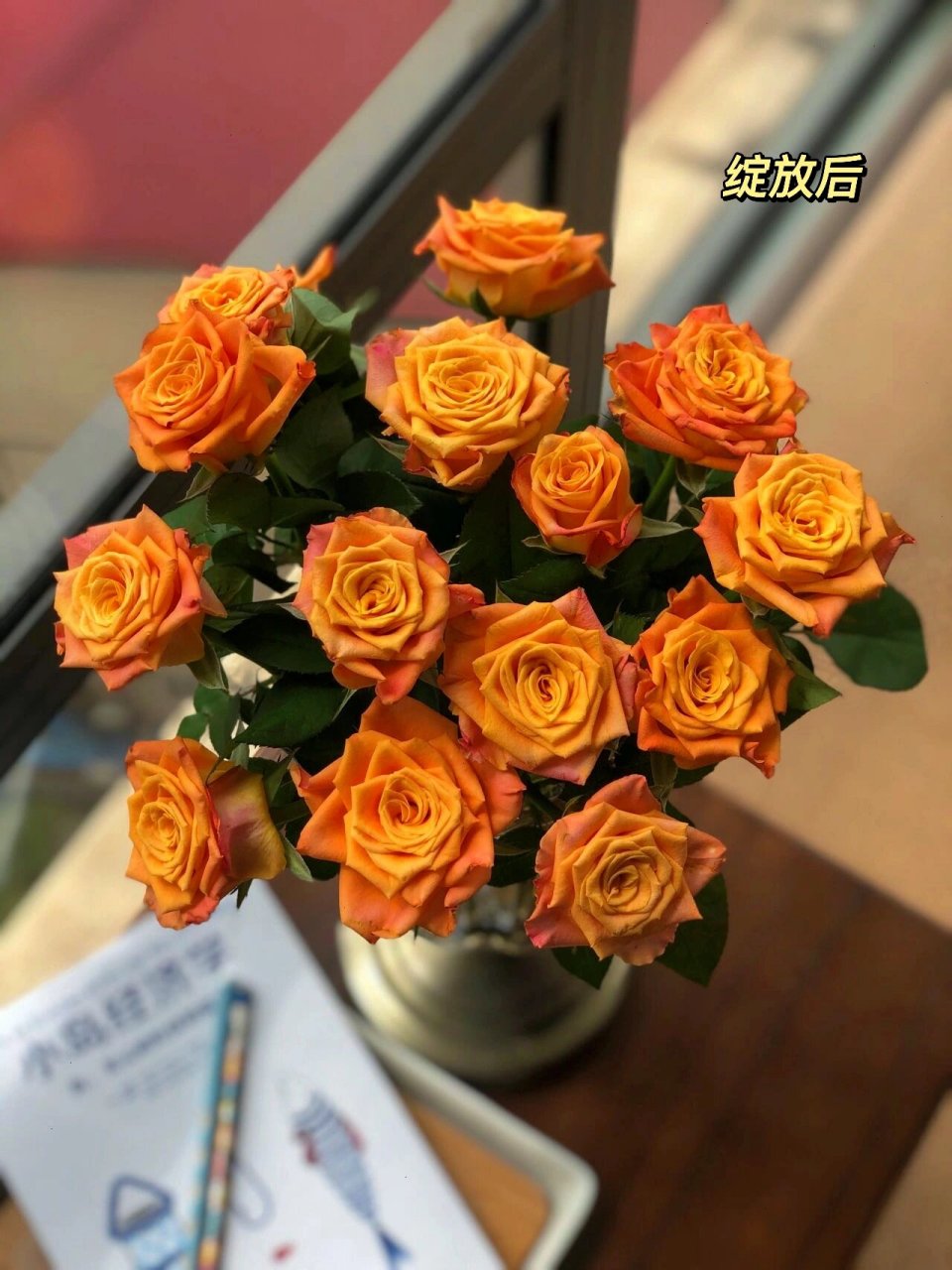 玫瑰届的温柔一姐金色海岸玫瑰97温暖且热烈 92 金色海岸的花瓣是