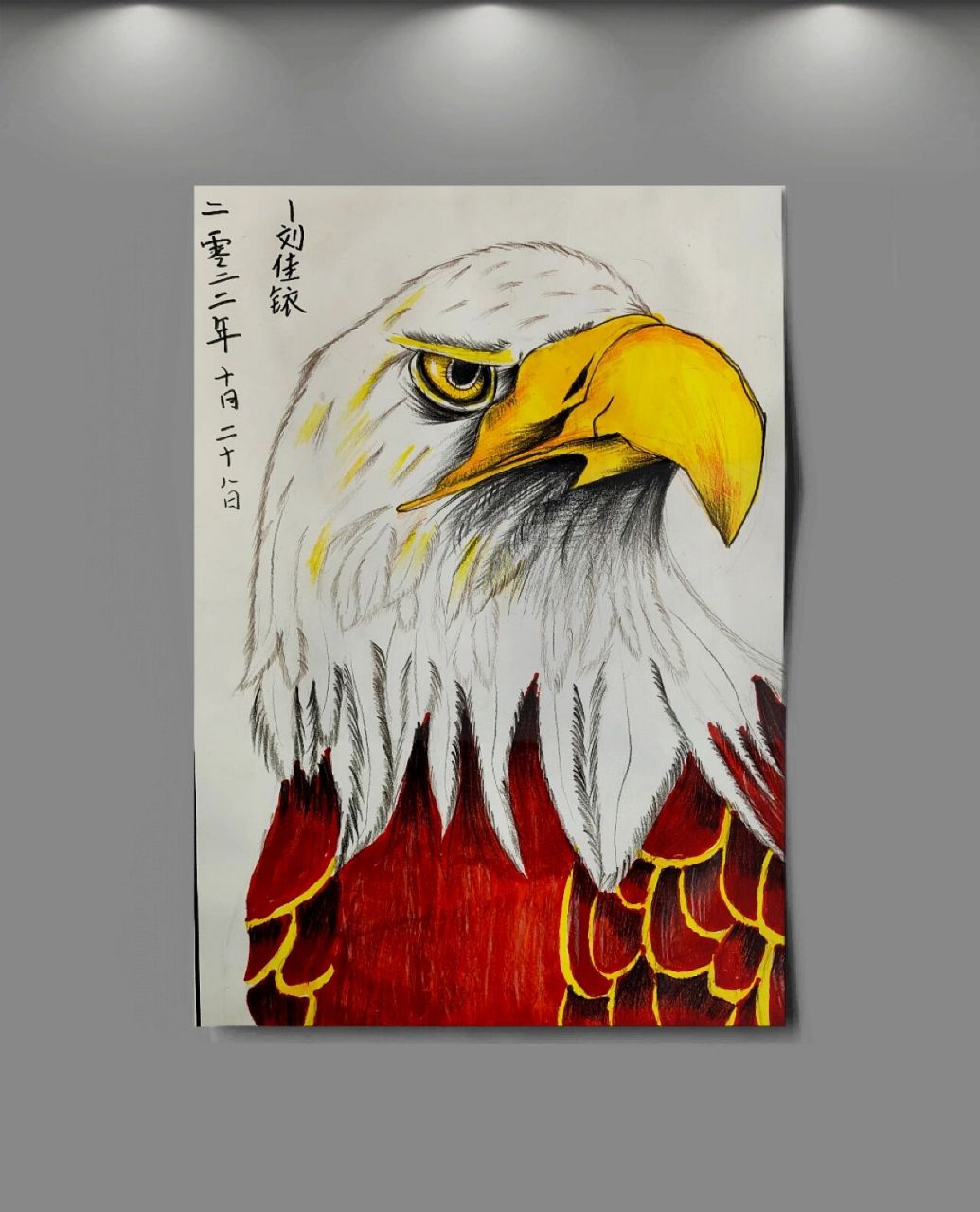 鹰彩铅绘画 三年级鹰照片写生