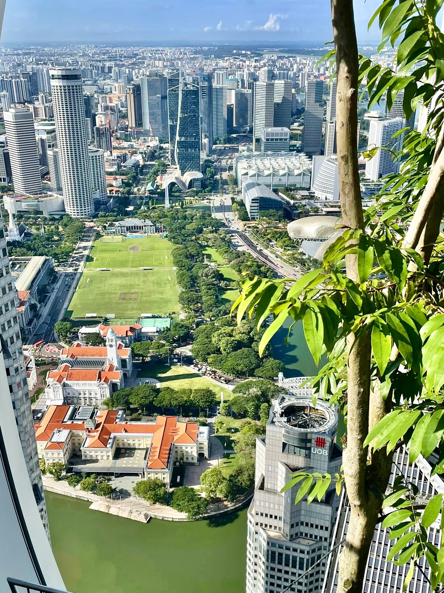 新加坡滨海湾花园总图图片