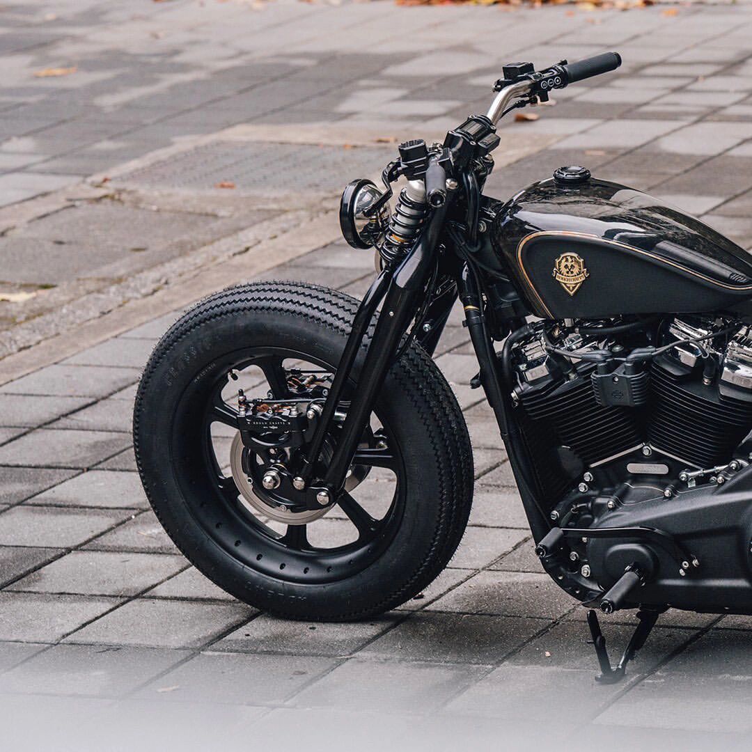 叶大师作品:哈雷戴维森m8软尾