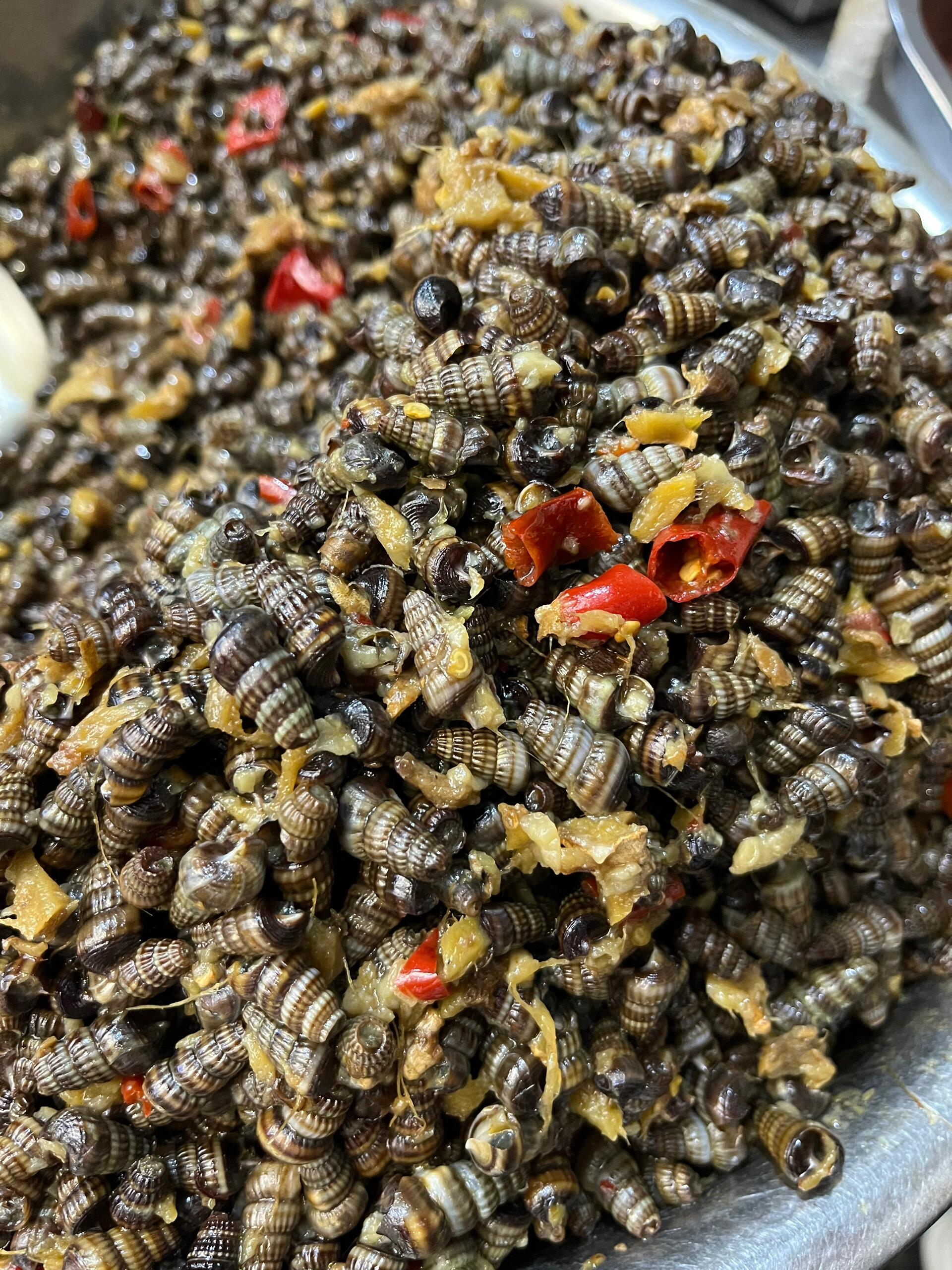 爱嗦螺的注意7215霞浦沙螺嗦到嘴肿也停不下来 霞浦沙螺,记得小