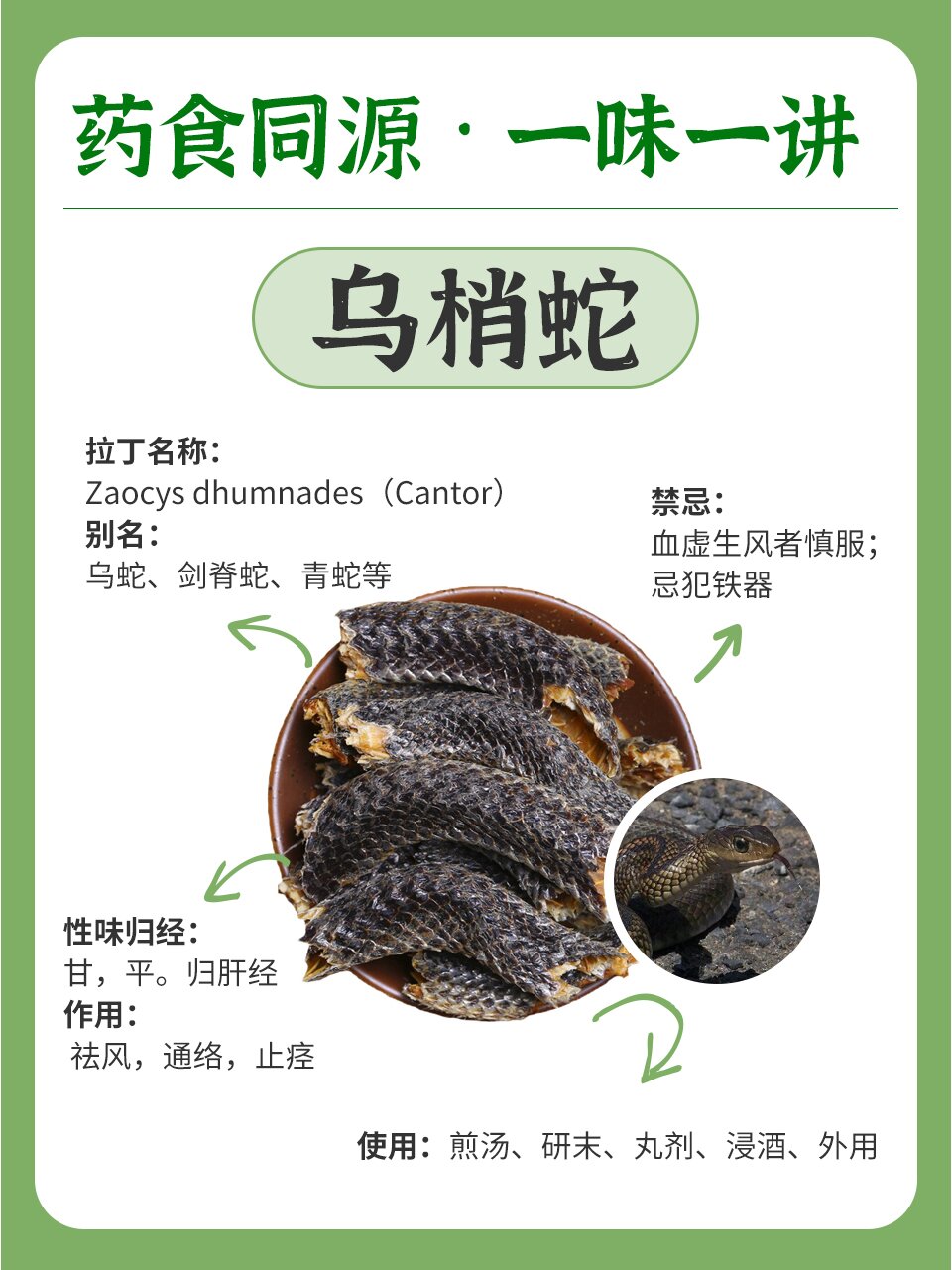 药食同源系列之乌梢蛇,中风与风湿的克星