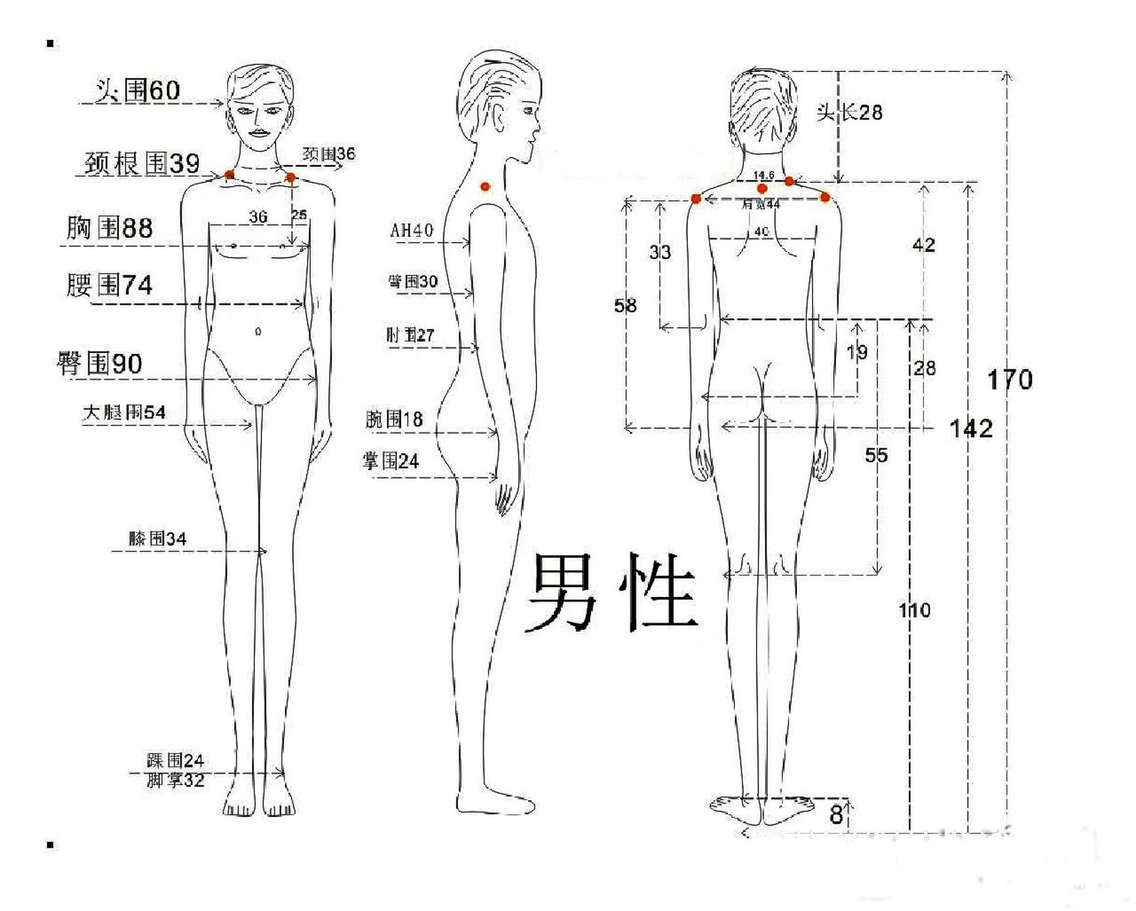 男性人体各部位尺寸,版师必备!  男性人体各部位尺寸,版师必备!