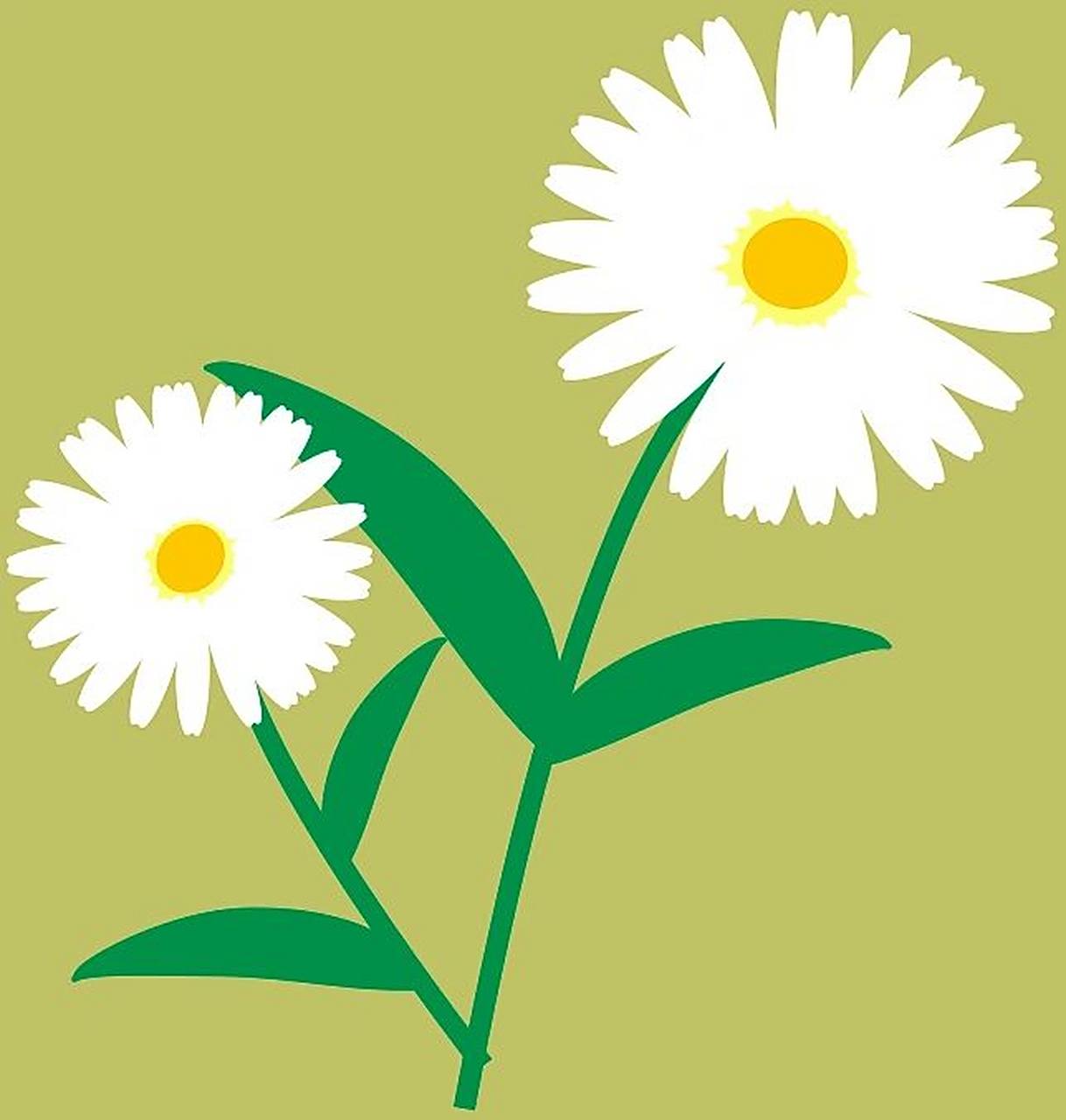 小花花卡通简笔画免费分享 忙中抽空更新一波小花花 有单张图片可以