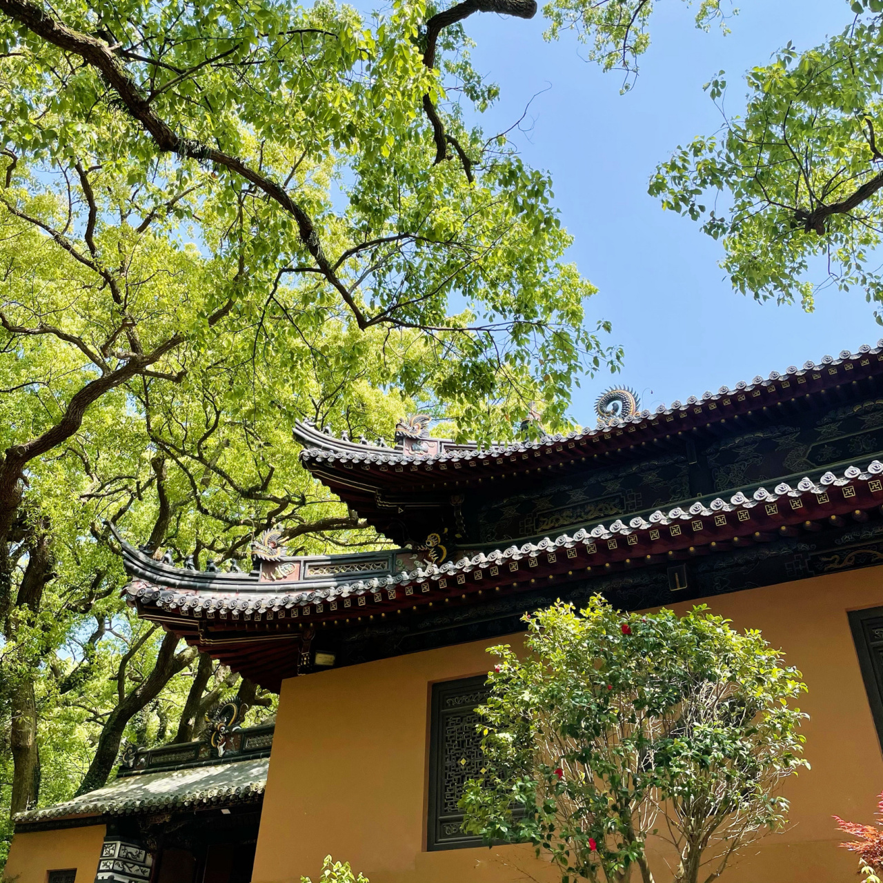 普陀山攻略 99普济寺:香花券905 1.