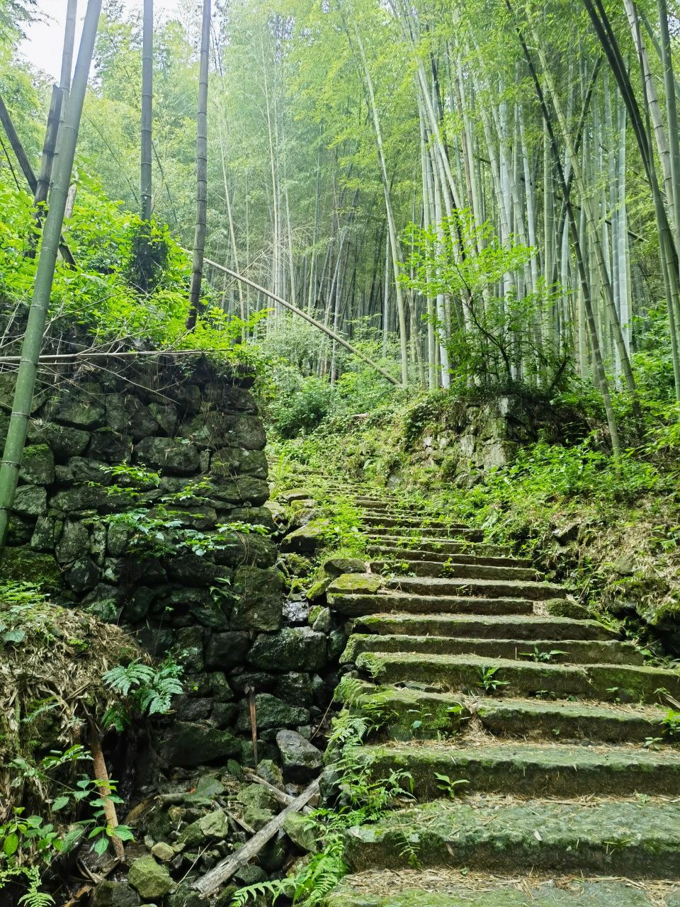 绍兴青板古道图片