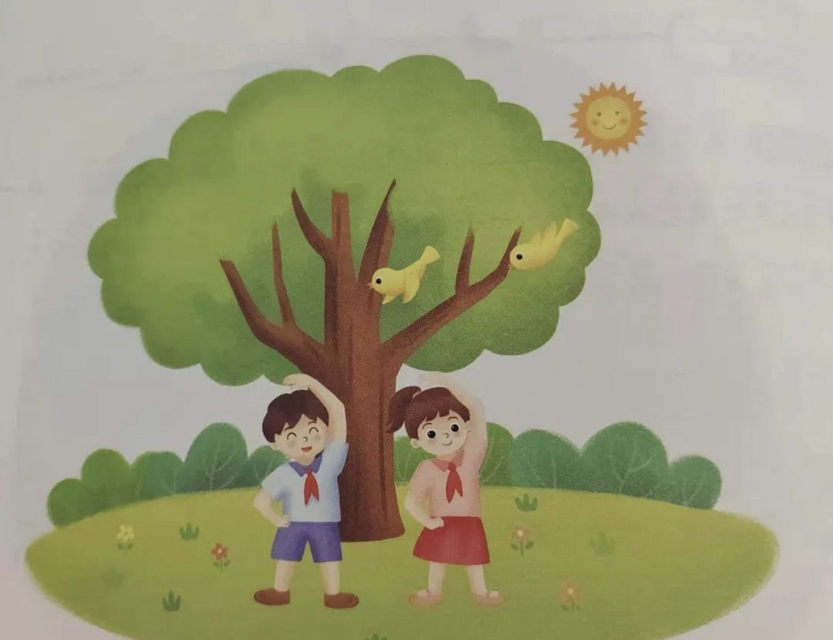 做早操看图写话 范文01:做早操 今天,阳光明媚,五星红旗在空中飘扬.