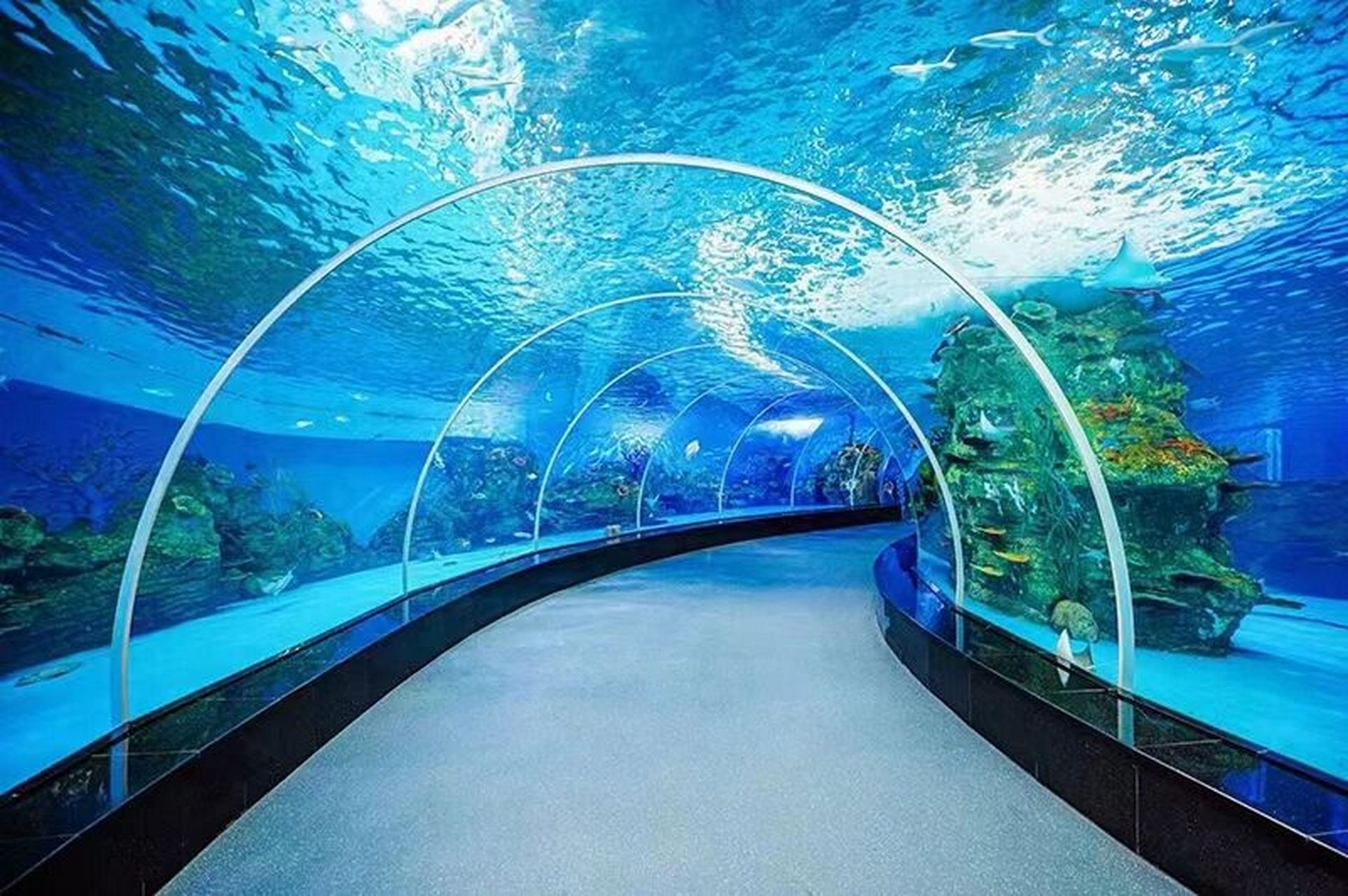 徐州欧乐堡极地海洋世界   徐州欧乐堡极地海洋世界 十一期间自驾车