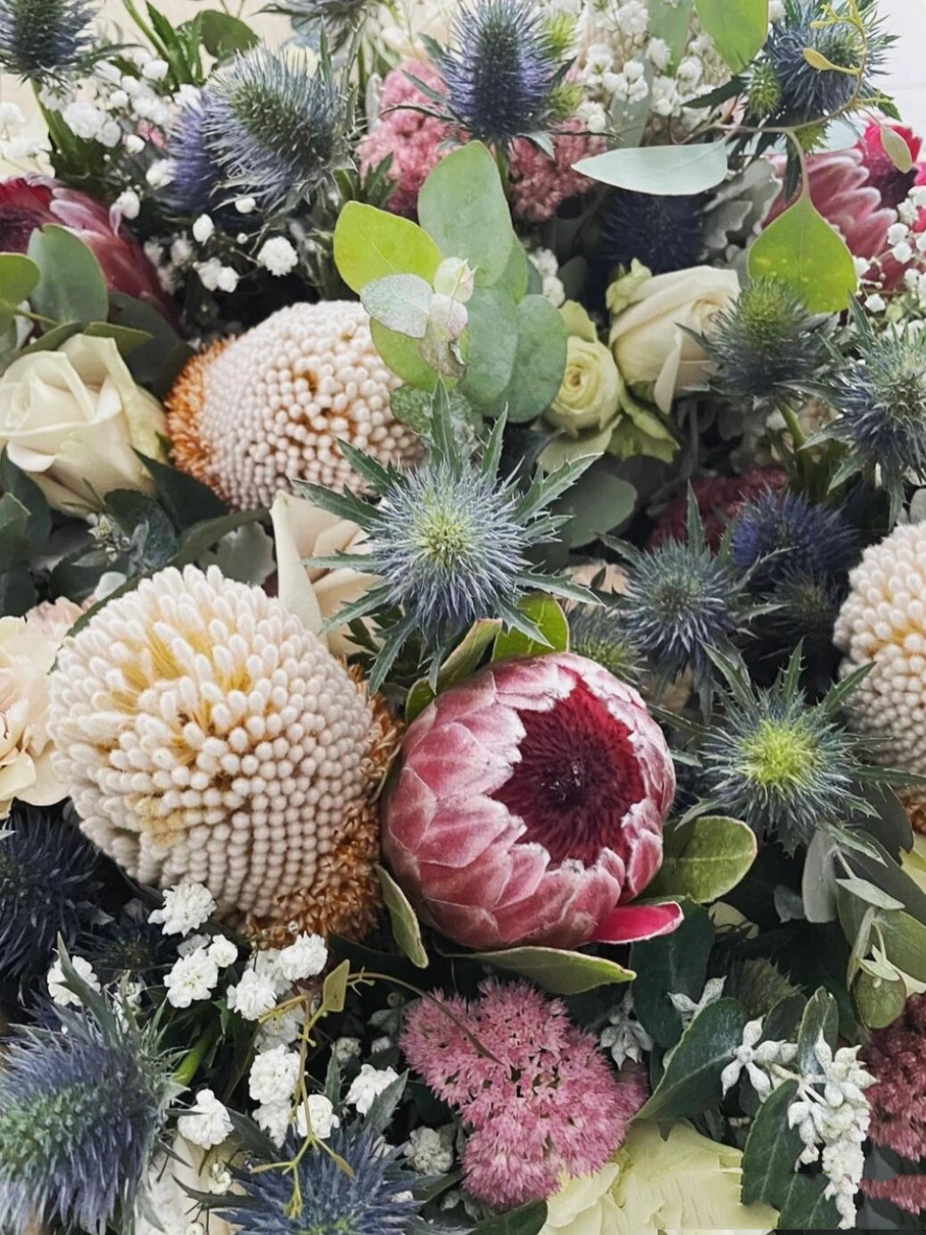 不一样的鲜切花70 | 海滨刺芹