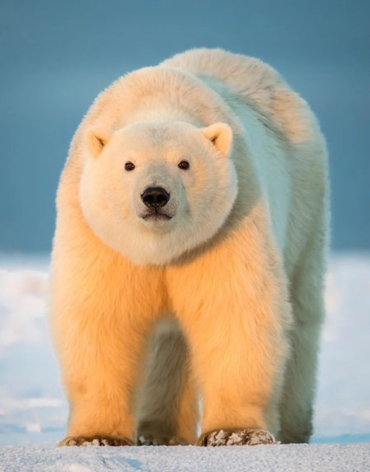 每天素材积累与分享