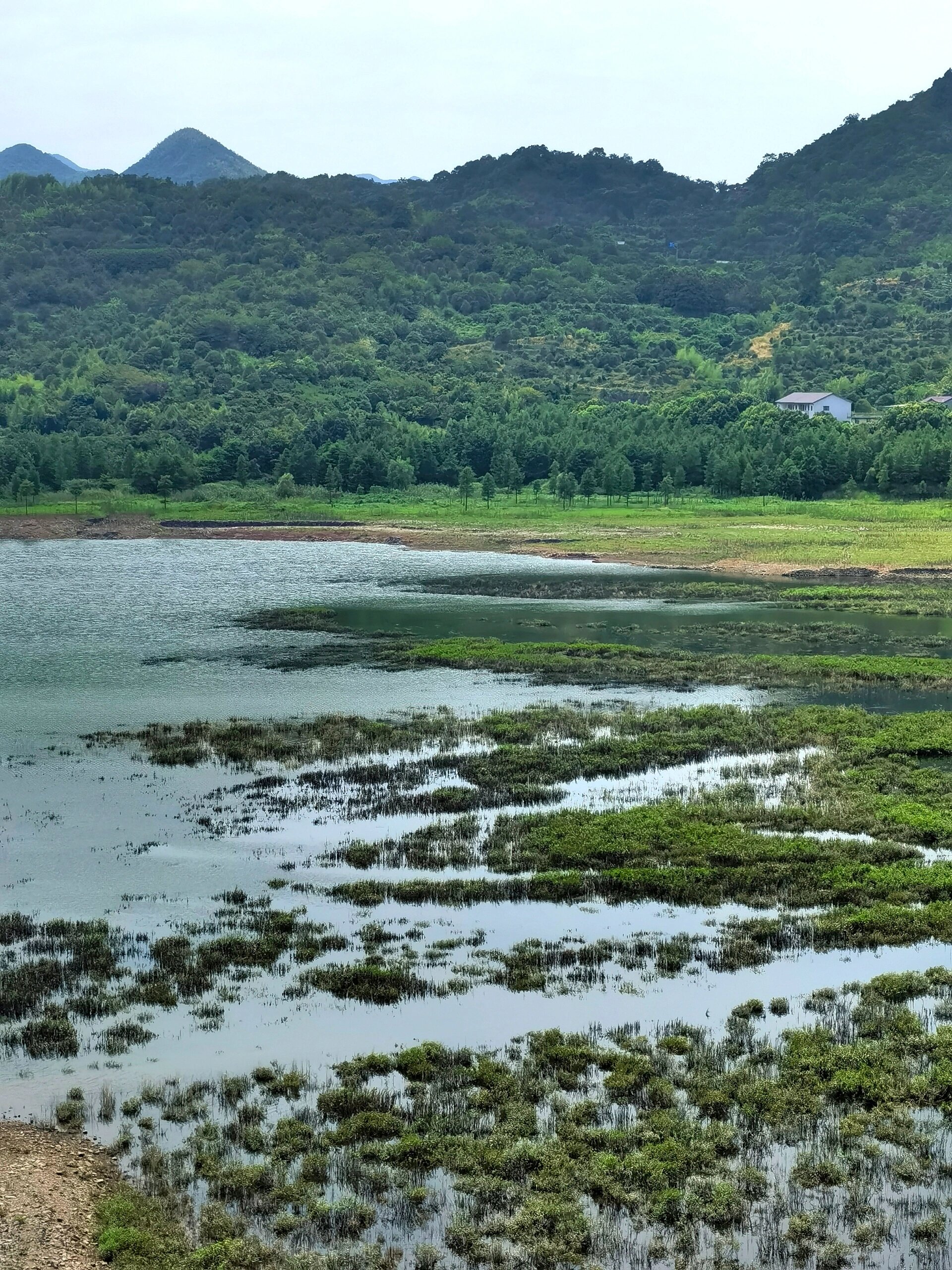 奉化亭下湖岙底村图片