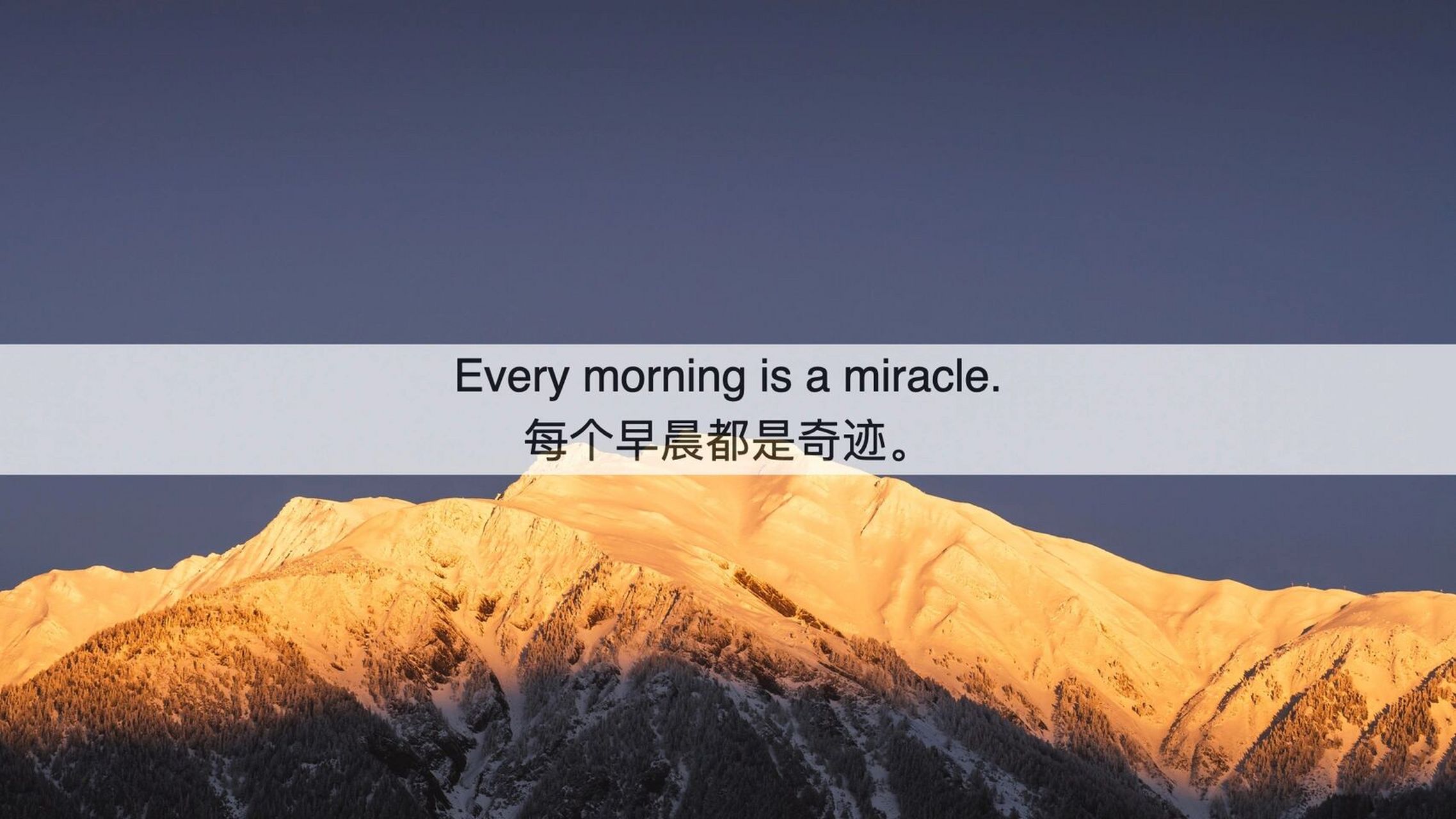 每日早读励志 every morning is a miracle. 每个早晨都是奇迹.