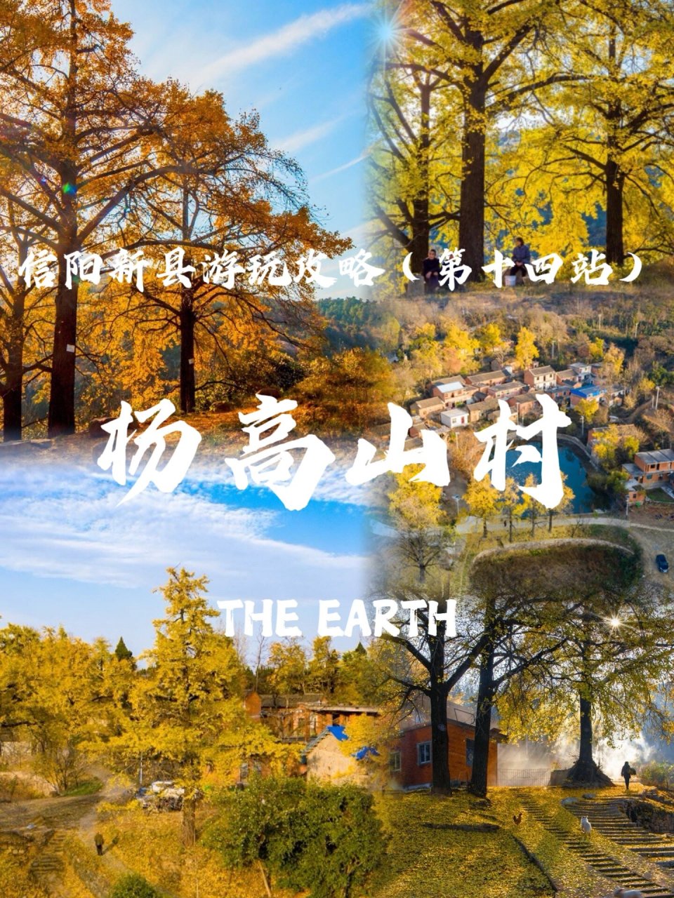 信阳旅游攻略 |  06新县杨高山村 "人间满目皆清欢,唯有银杏不负秋"
