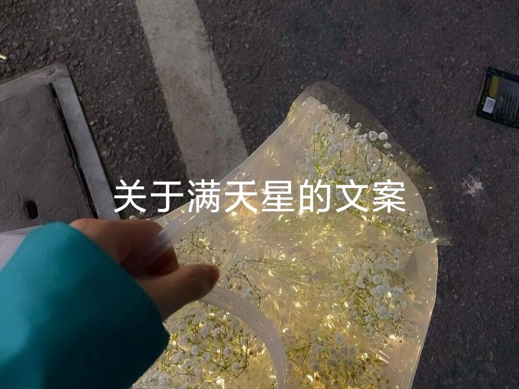 关于满天星的文案 1.走时慢身月,归时满天星 2.