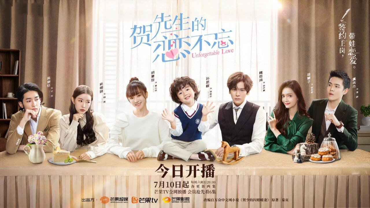 94电视剧《贺先生的恋恋不忘》94