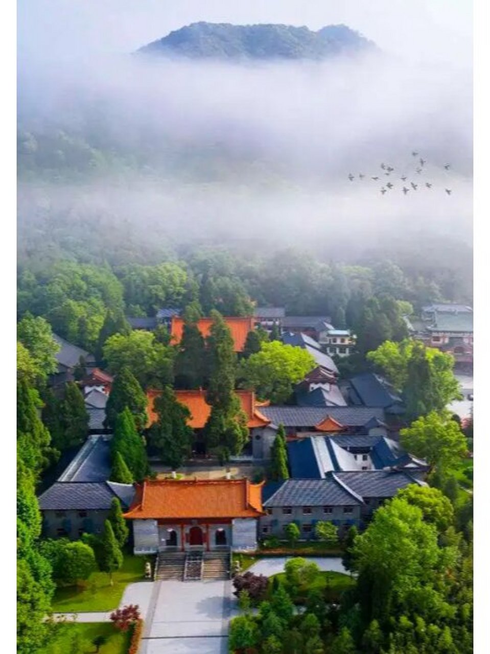 禅韵十足的千年古寺 | 江西靖安宝峰寺 俗话说,心静自然凉.
