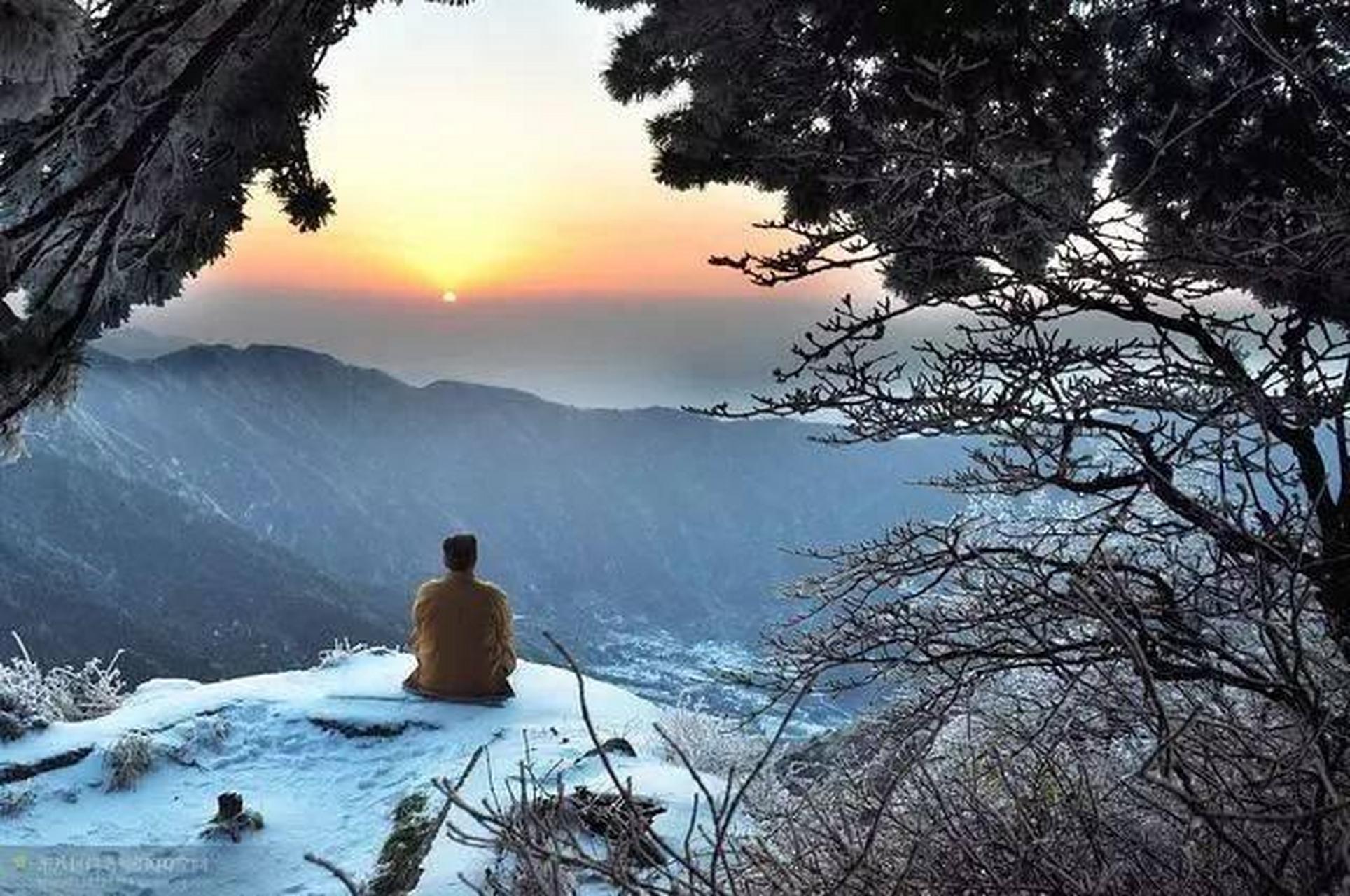 岩头禅师图片