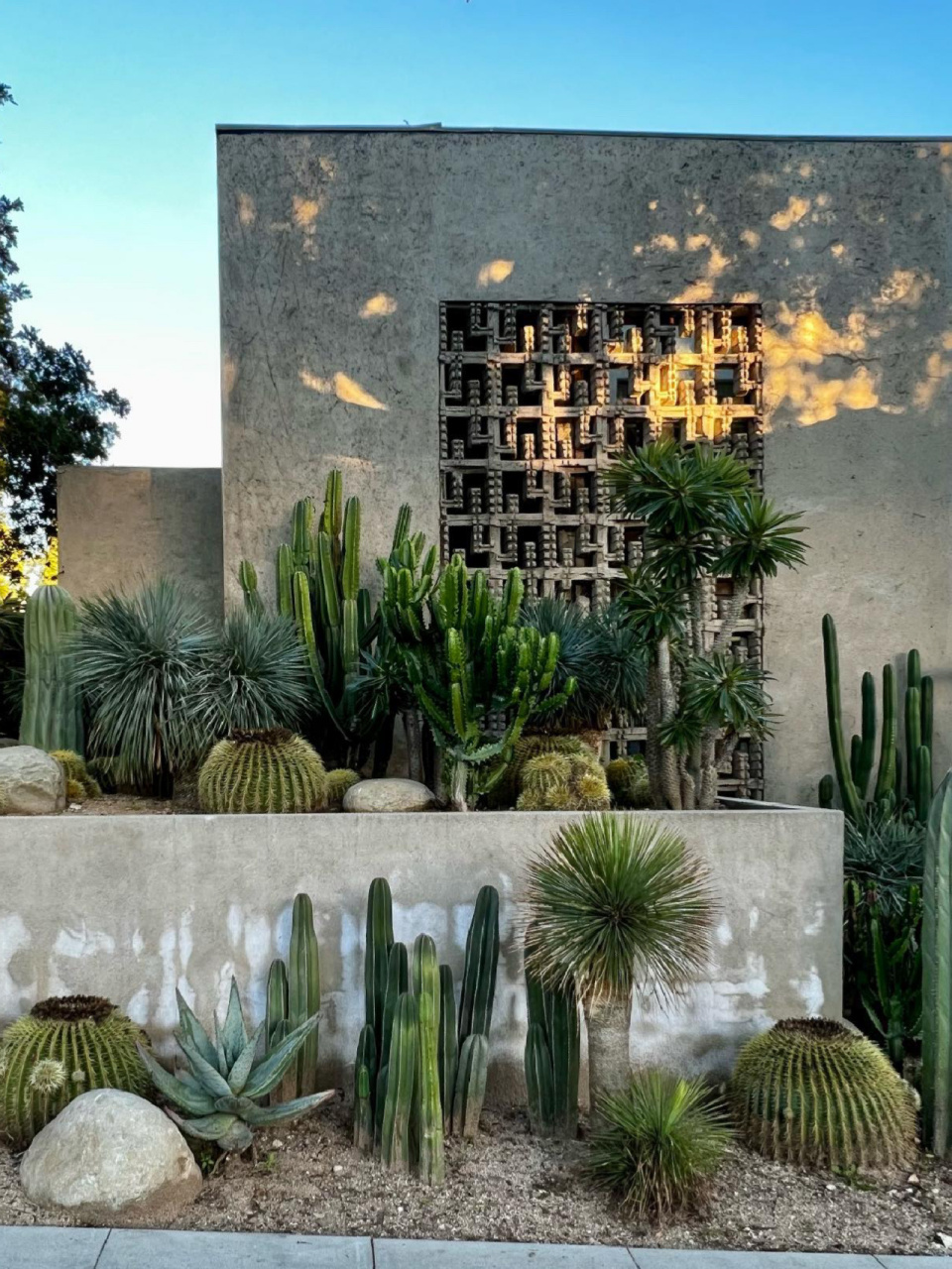 简约而又沉稳的异域景观|沙生植物造景 91沙生植物造景79 95