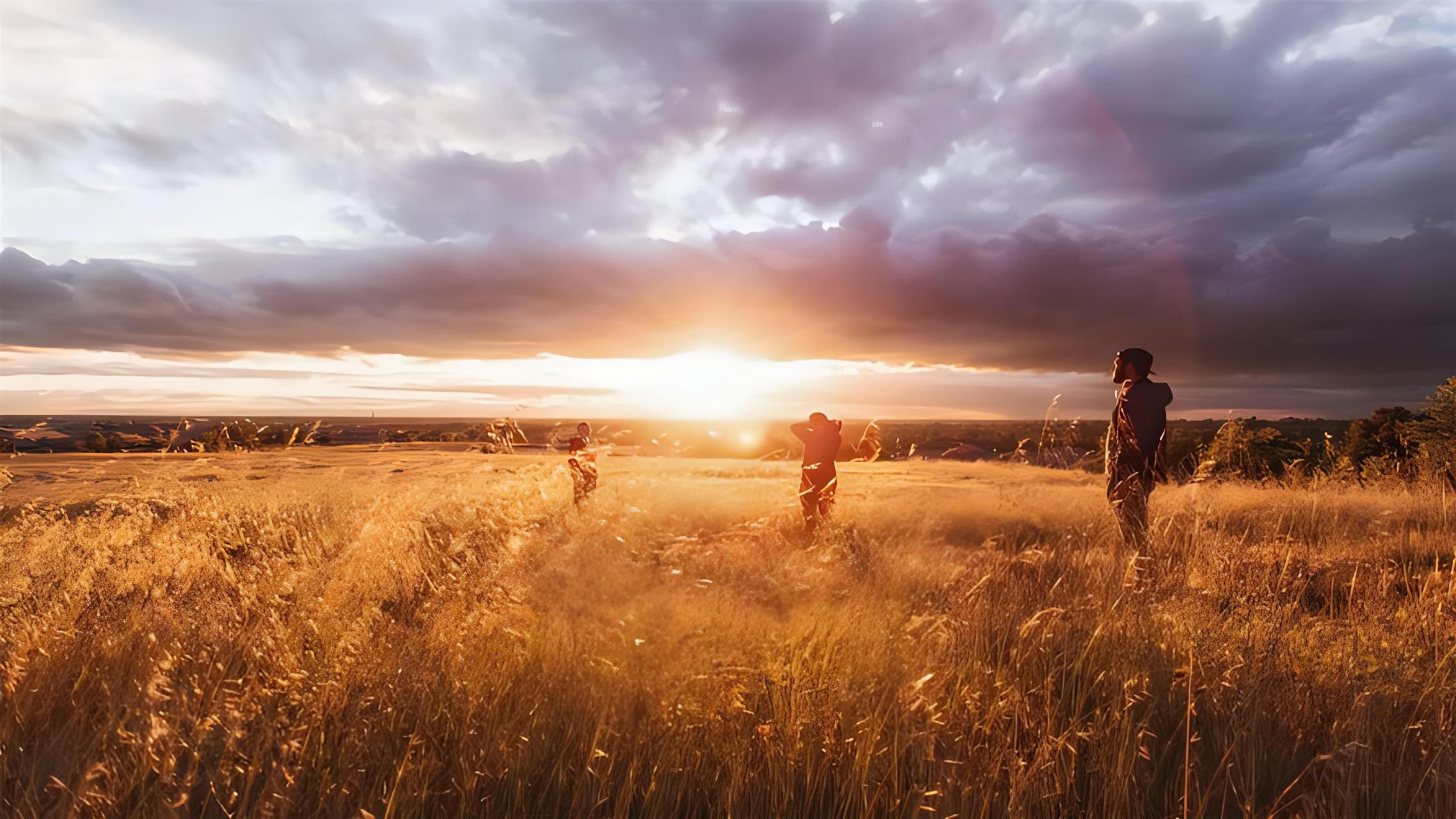 图片治愈心情 一张美好的图片,如同一道阳光7715,瞬间温暖心灵