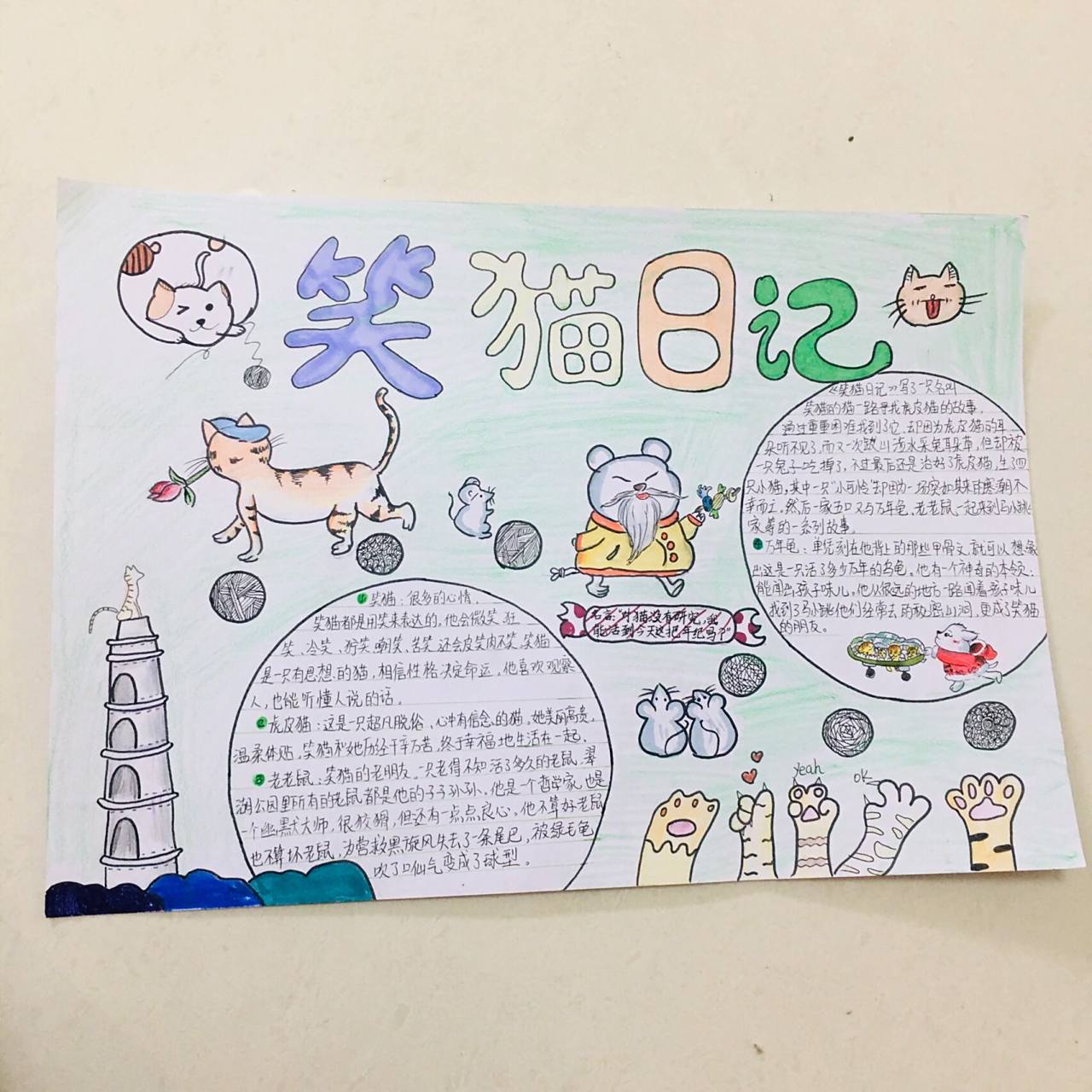 《笑猫日记》手抄报 娃对这套书情有独钟 爱不释手 碰巧需要做一个手
