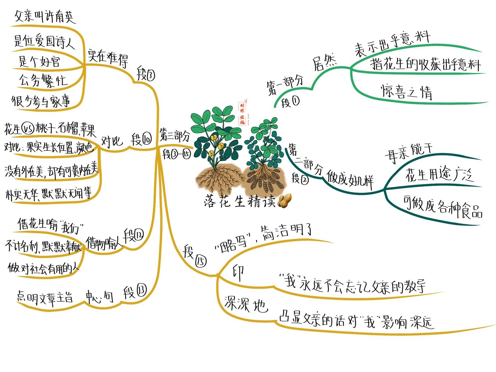 五语上|2《落花生06》思维导图 花生是一种普普通通的植物,但就是在