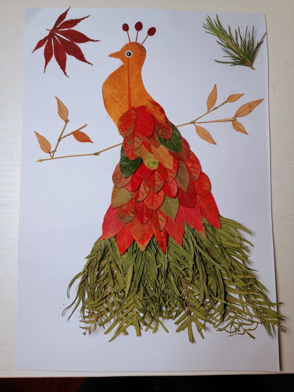 树叶手工作品【孔雀】  幼儿园手工作业,河边捡来的树叶,立马给儿子