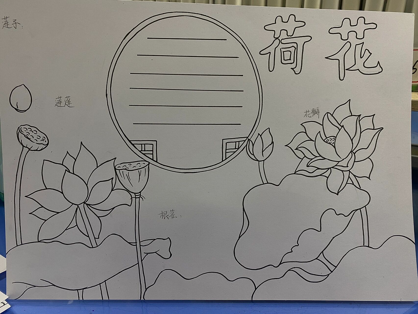 莲文化手抄报简单图片