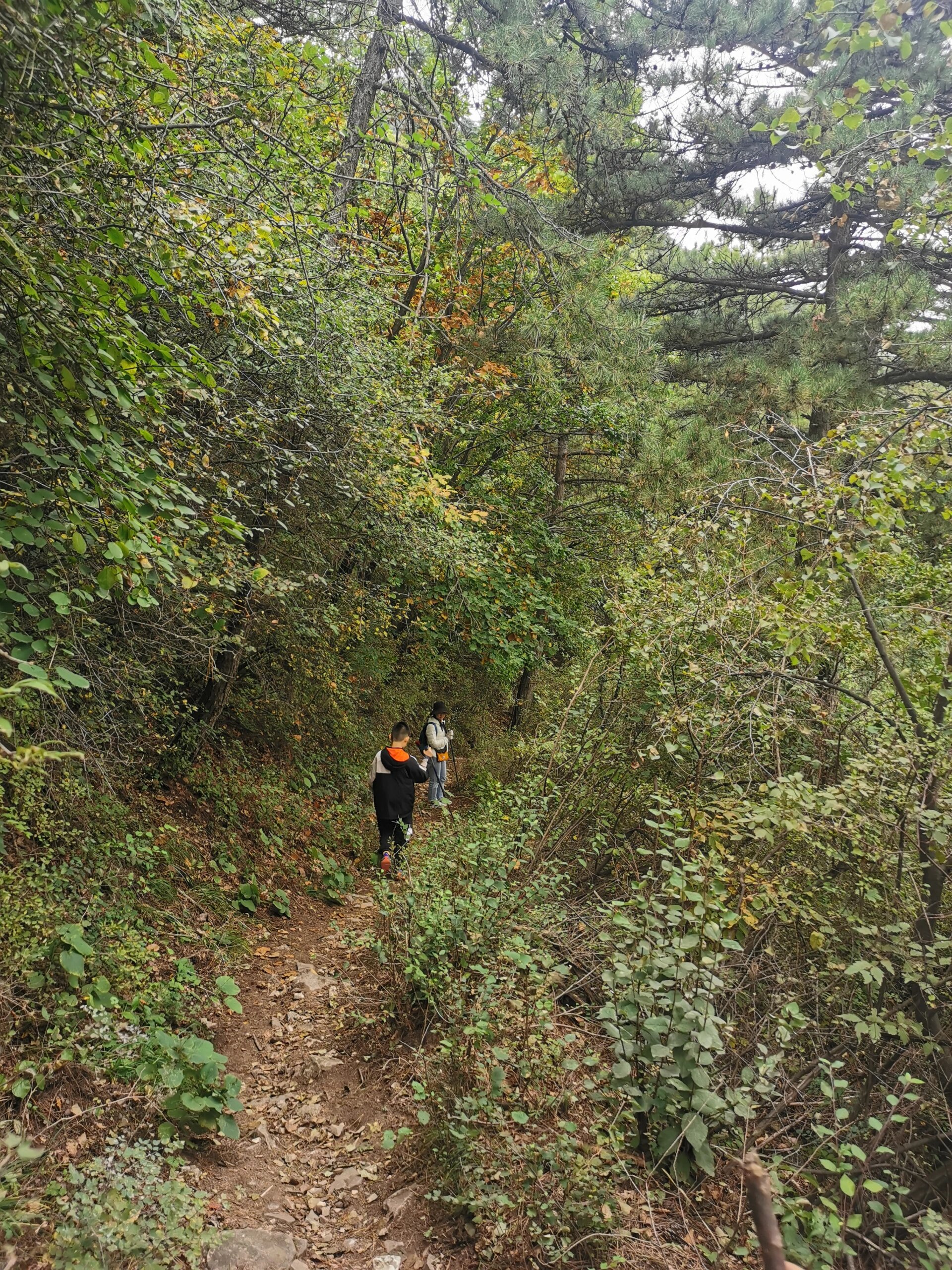 太原龙角山的景区介绍图片