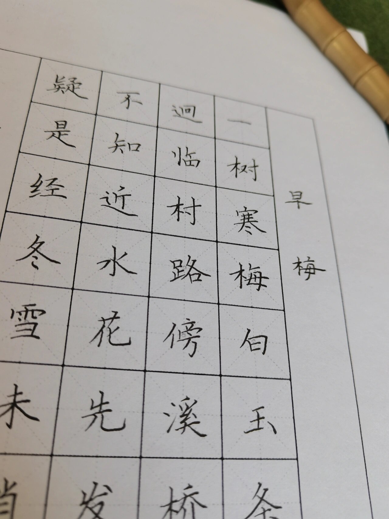 硬笔书法|张谓 早梅