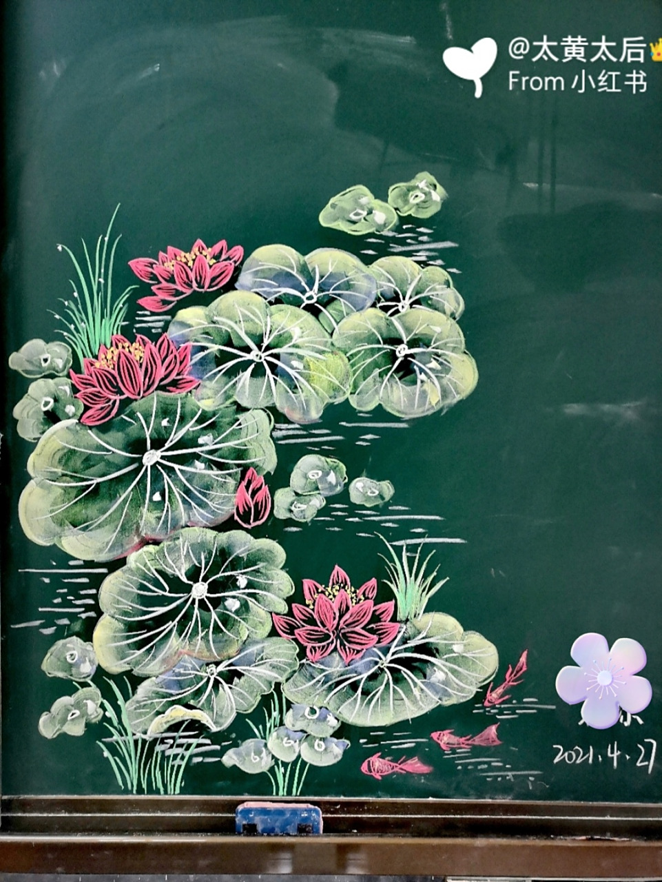 跟着绚丽黑板报老师画画96的日常    荷花