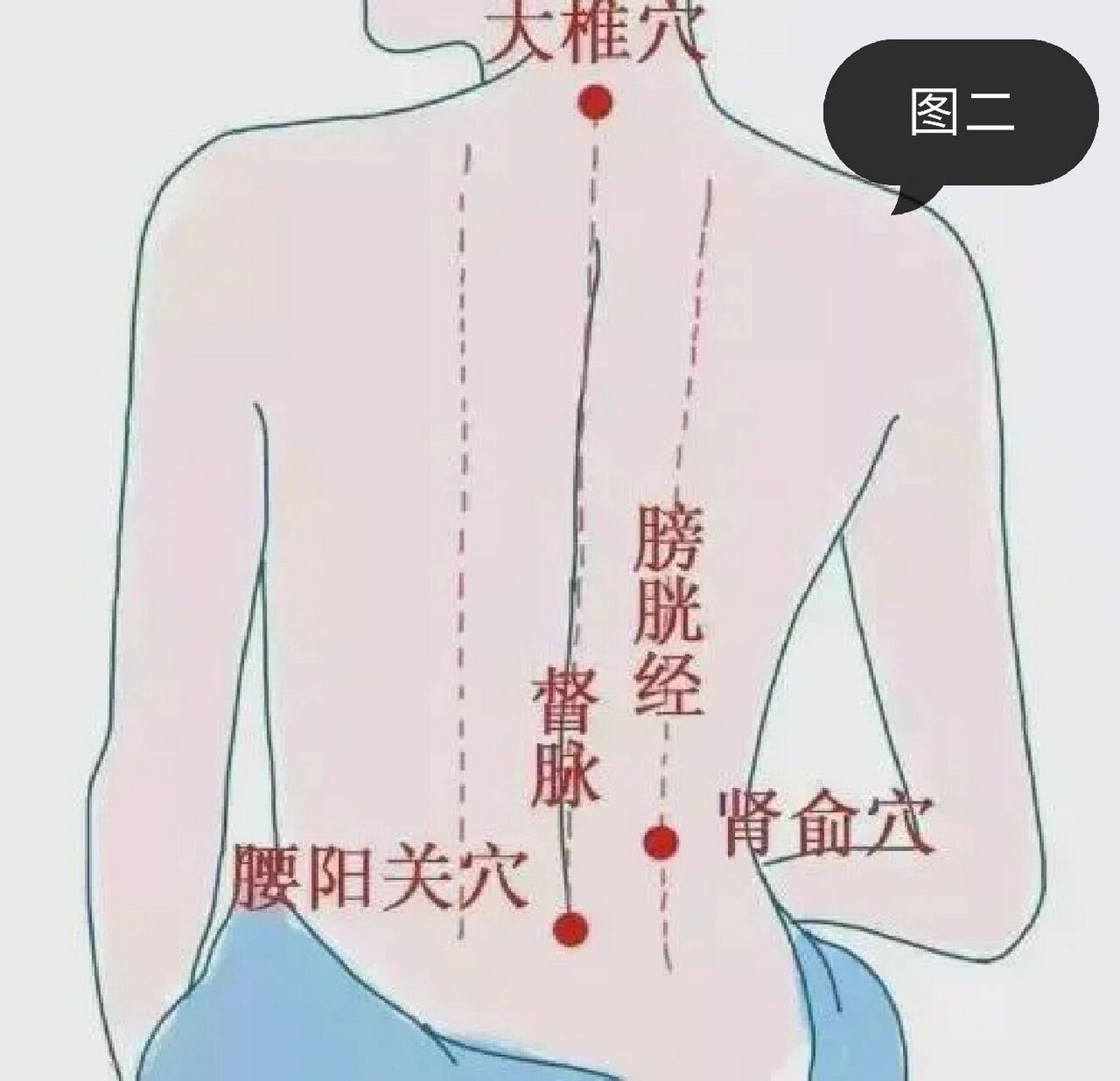 为什么艾灸背部?推背?