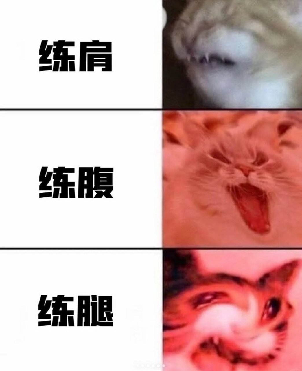 体育生表情包分享 | 真实住了