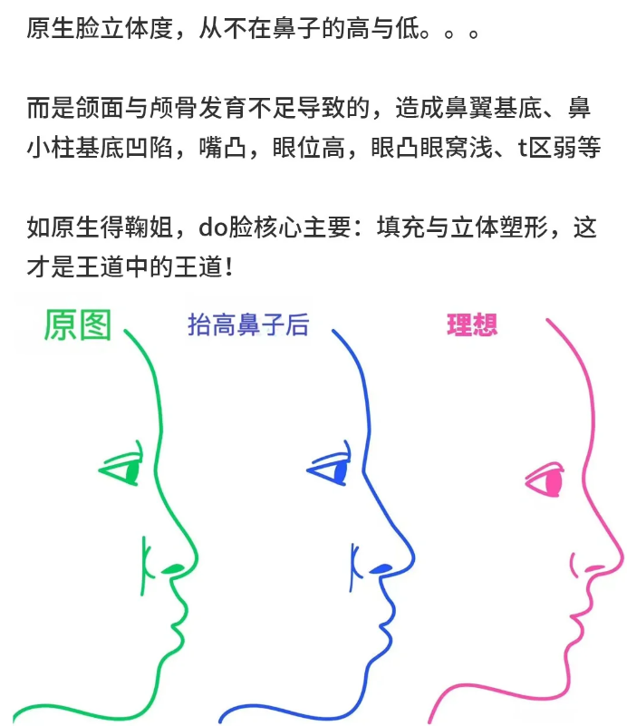 面部骨骼发育图片