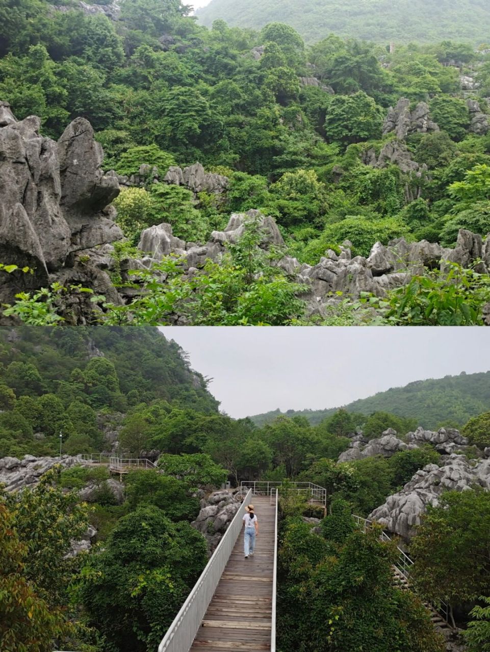 99详细地址: 景区位于浙江省衢州市常山县,是浙西旅游的一个经典