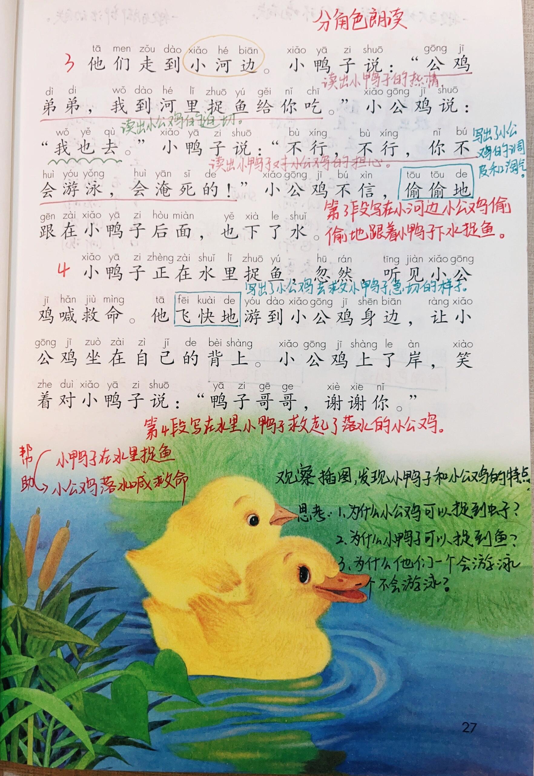 课文小公鸡和小鸭子图片